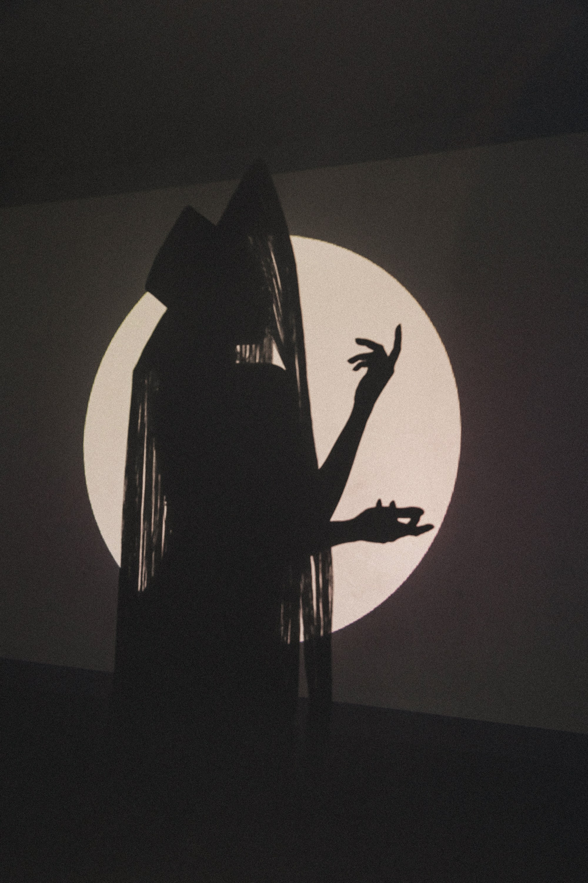 PORTRAIT. Maria Startseva Photo