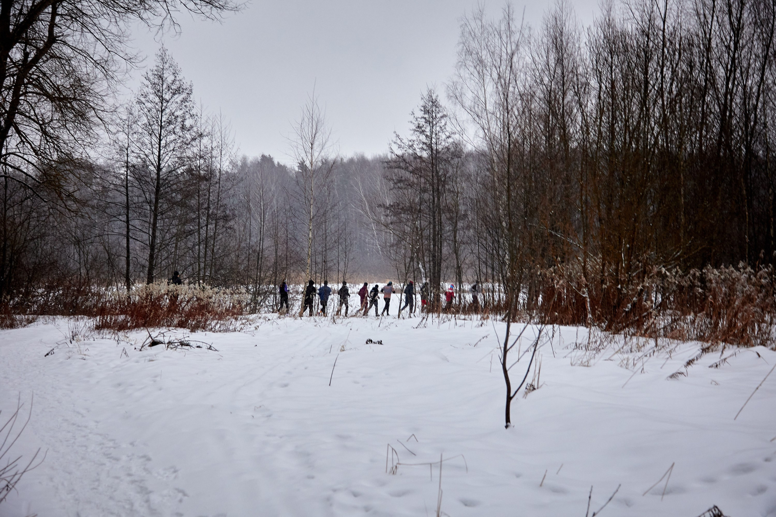 Близко Зима. Спортивный и репортажный фотограф Андрей Баскаков