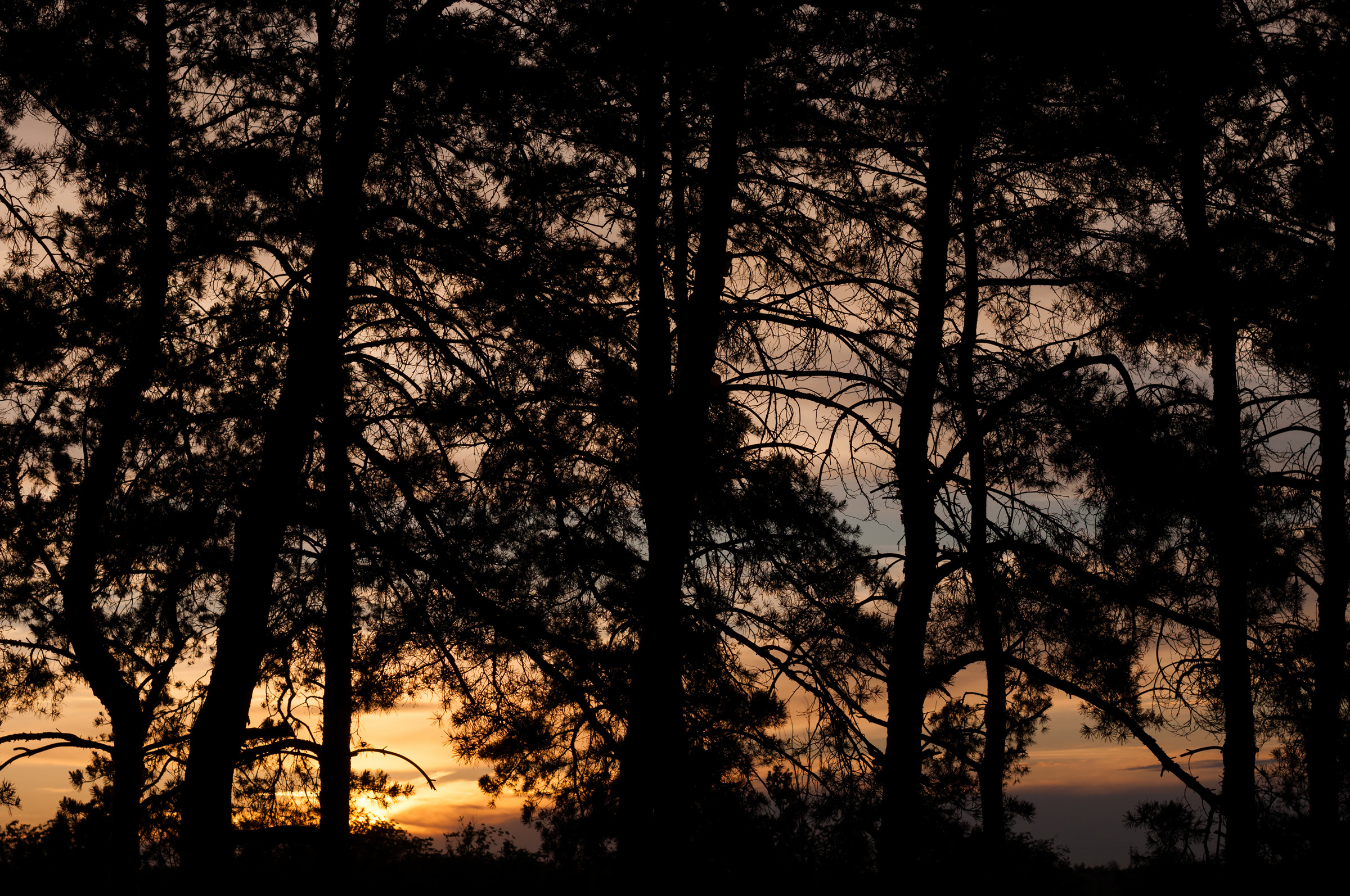 Love story. Свадебный фотограф Волгоград Роман Брызгалин и Натали Никитина