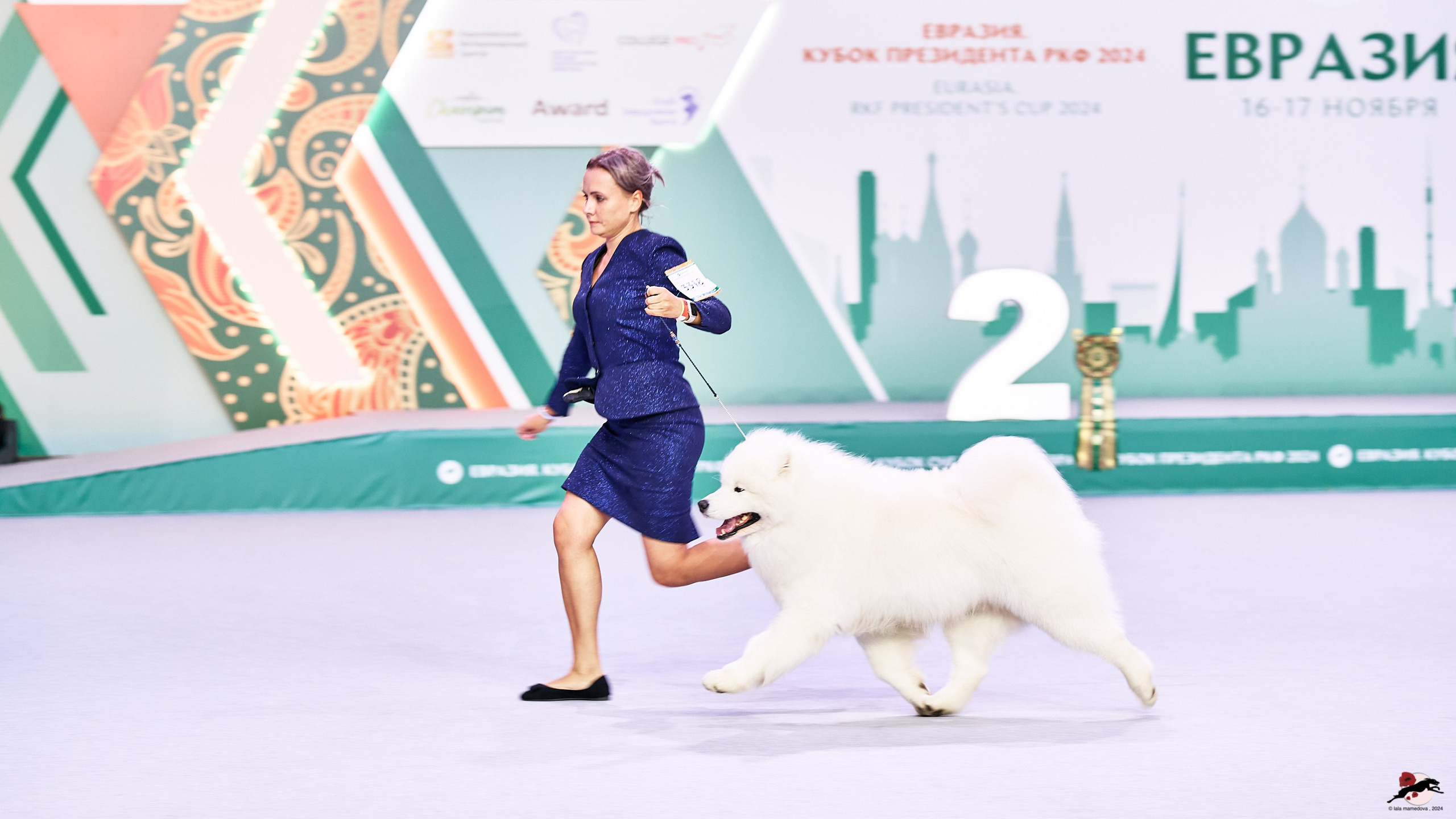 16.11.2024 «ЕВРАЗИЯ. КУБОК ПРЕЗИДЕНТА РКФ 2024»