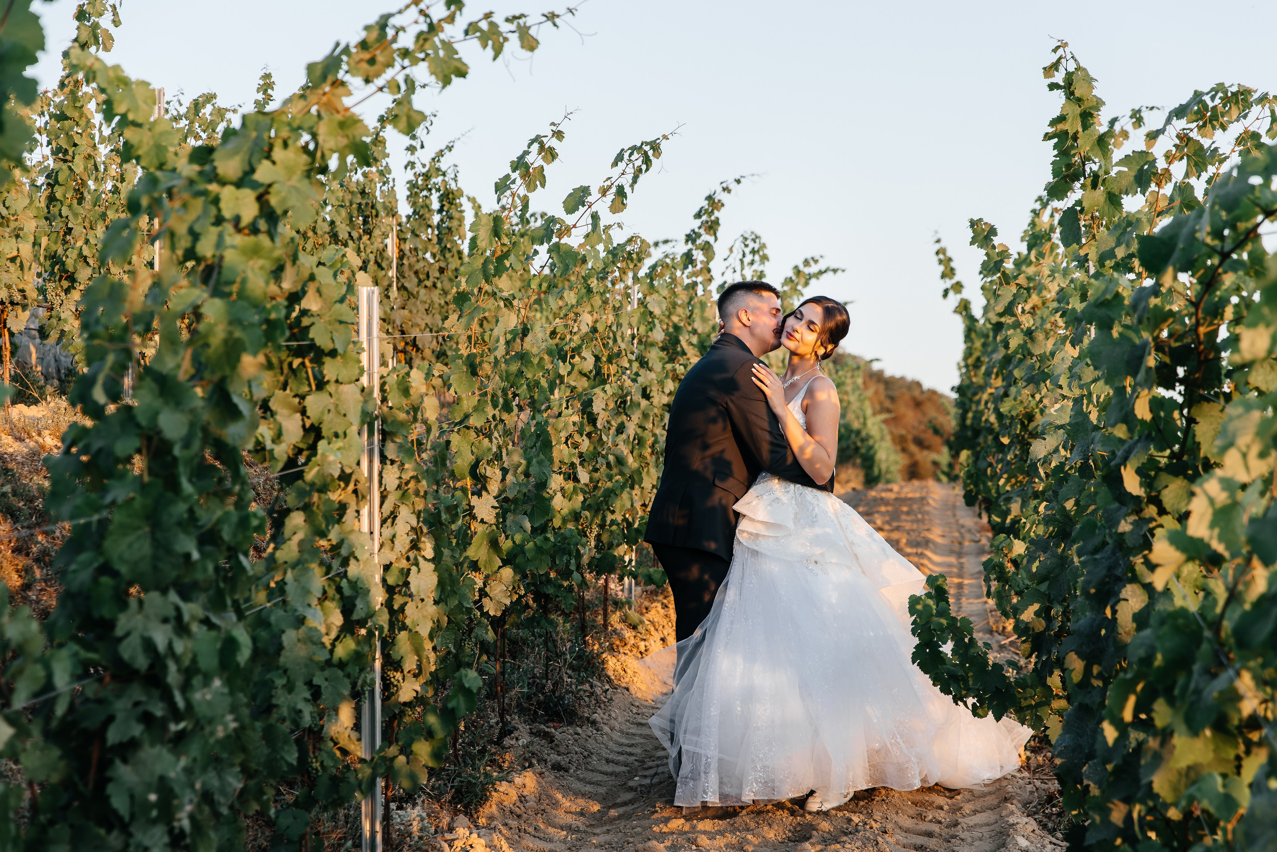 Свадьба на винодельне. Анонс для Ивана и Виктории. Свадебный фотограф в Крыму и Севастополе Ольга Баскакова