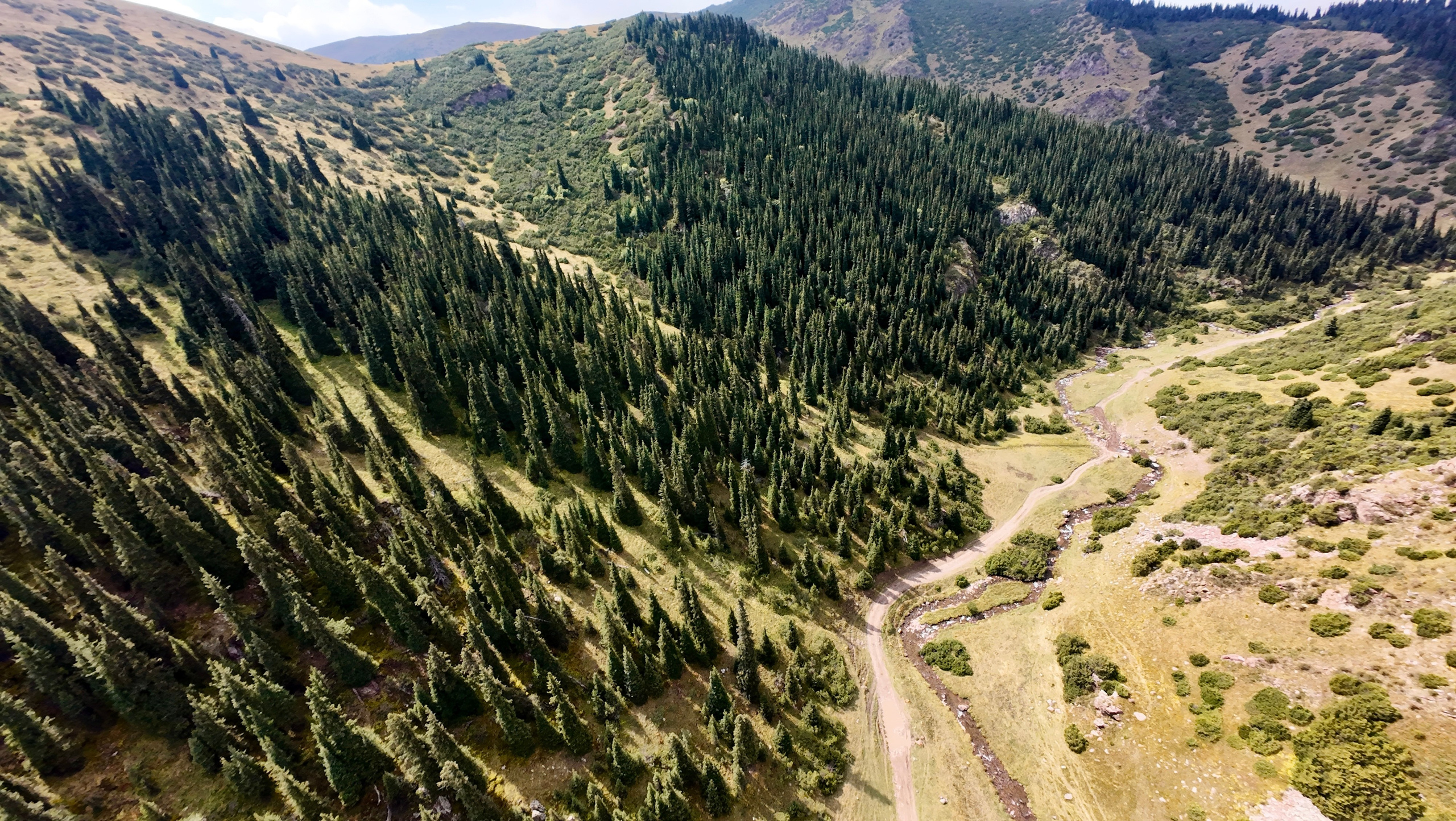 Поездка на плато Ассы и за пределами. Экскурсии и туры по Алматы