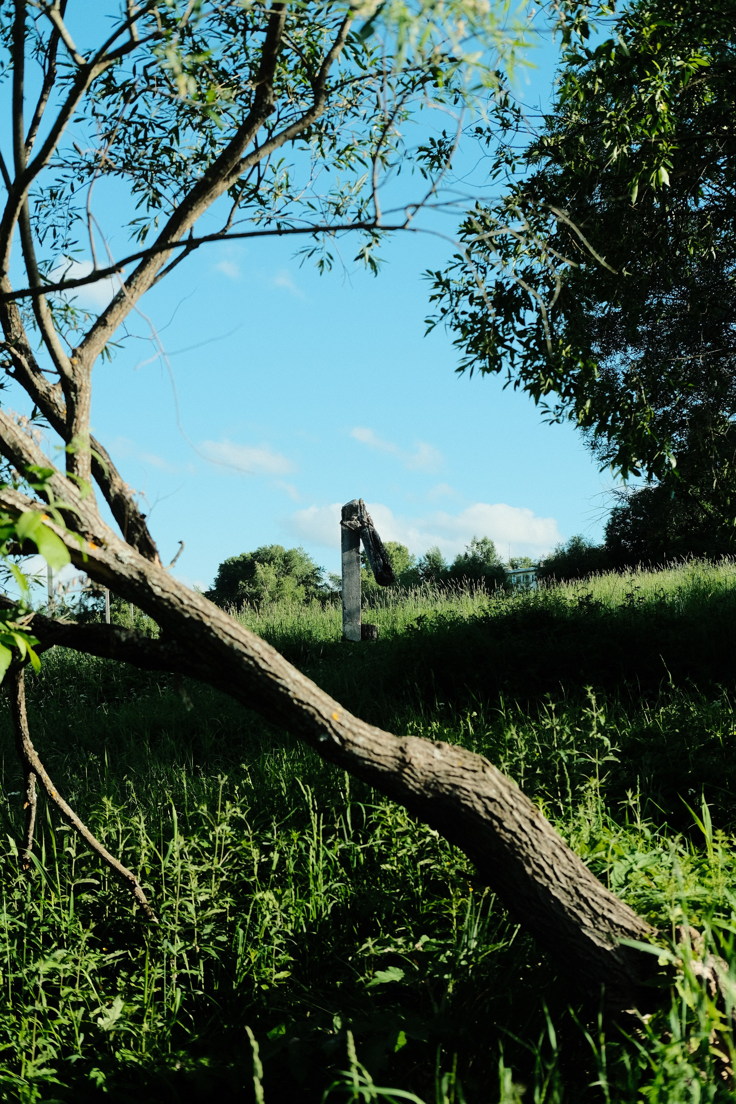 Стрит-фотография Сыктывкар. Фотограф-любитель из Кирова Андрей Погребняк