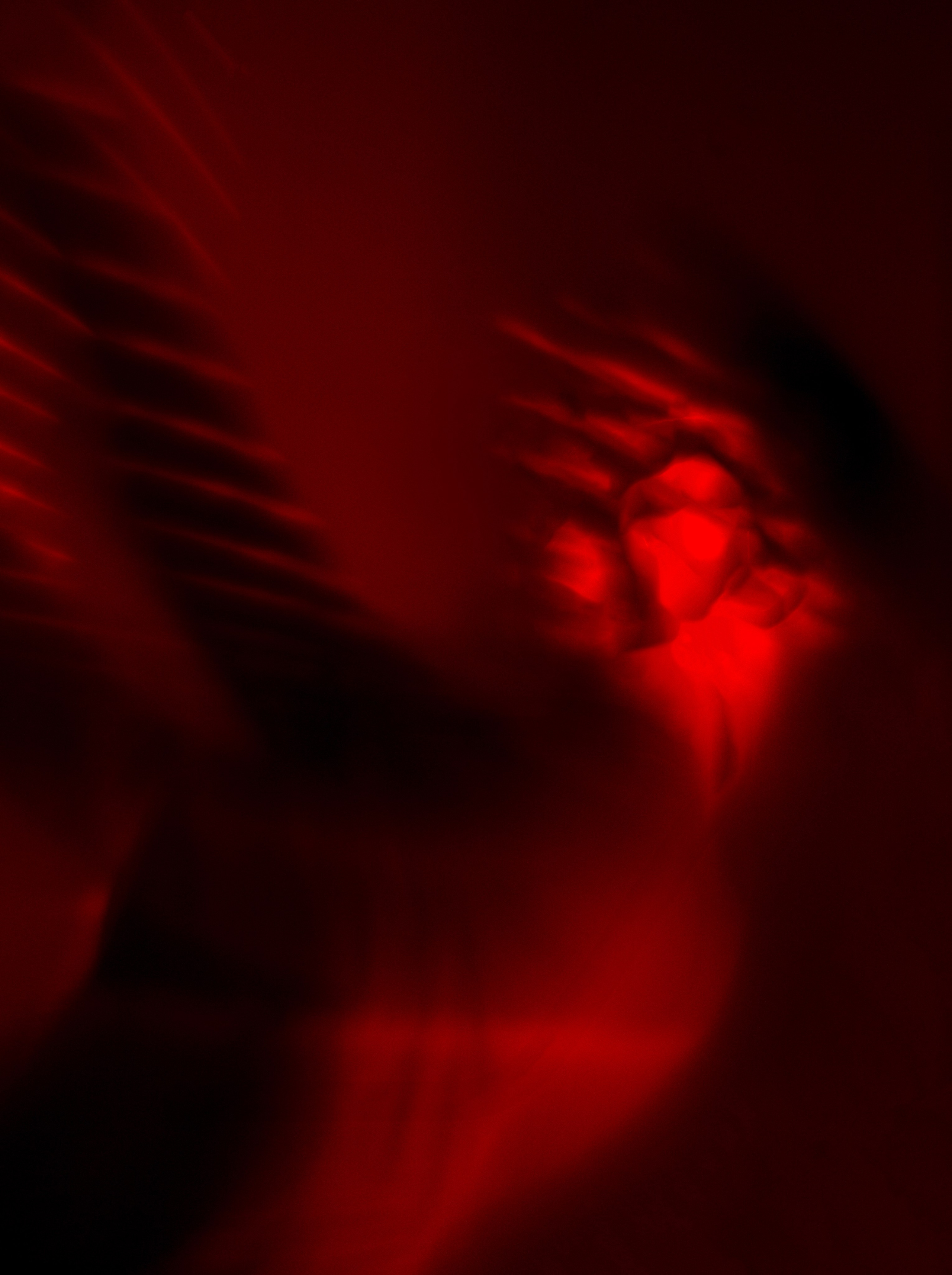 СЕРГЕЙ ИЛЬЧУК. СУЩНОСТНАЯ ФОТОГРАФИЯ