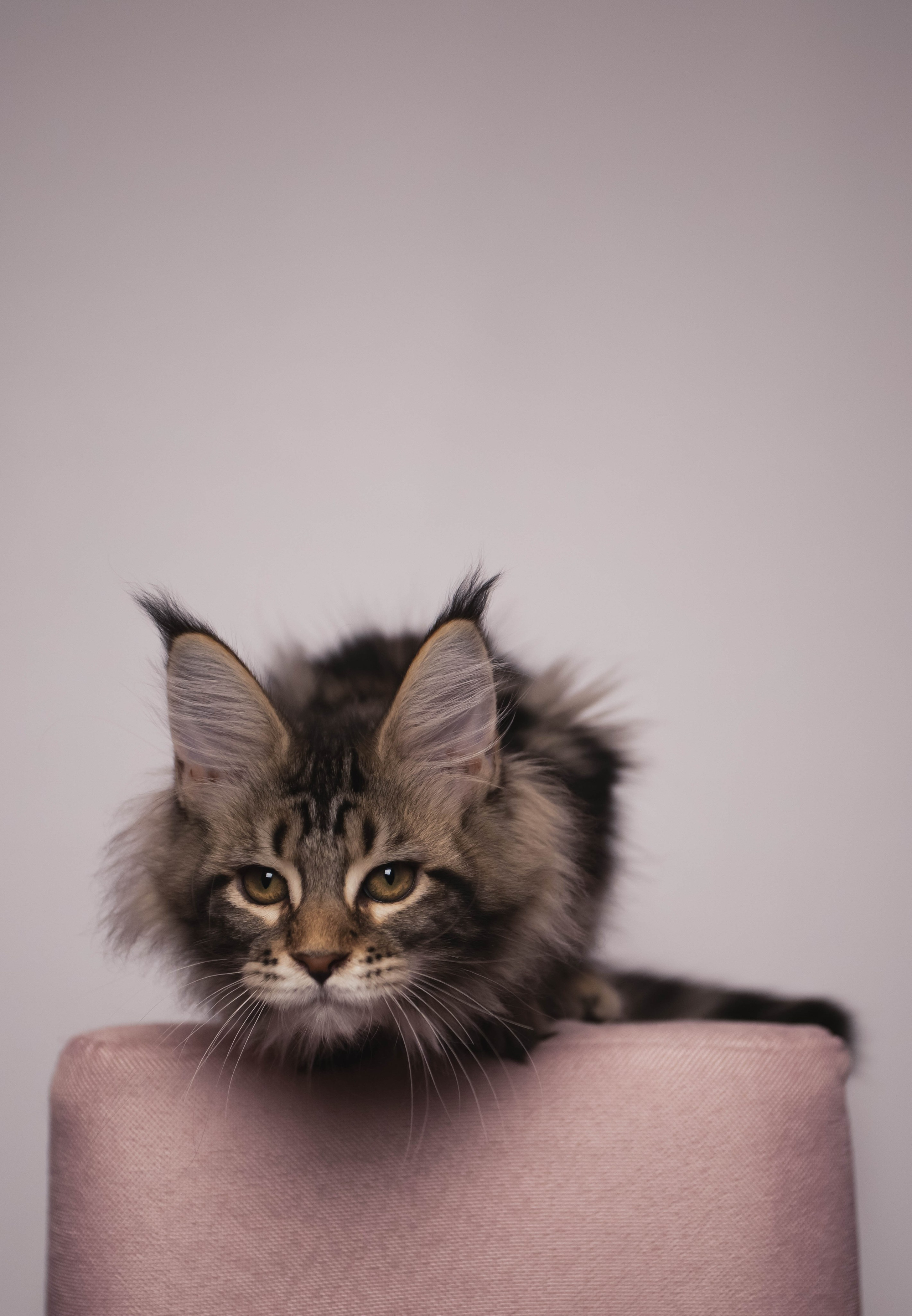 HanFors. Женский и предметный фотограф