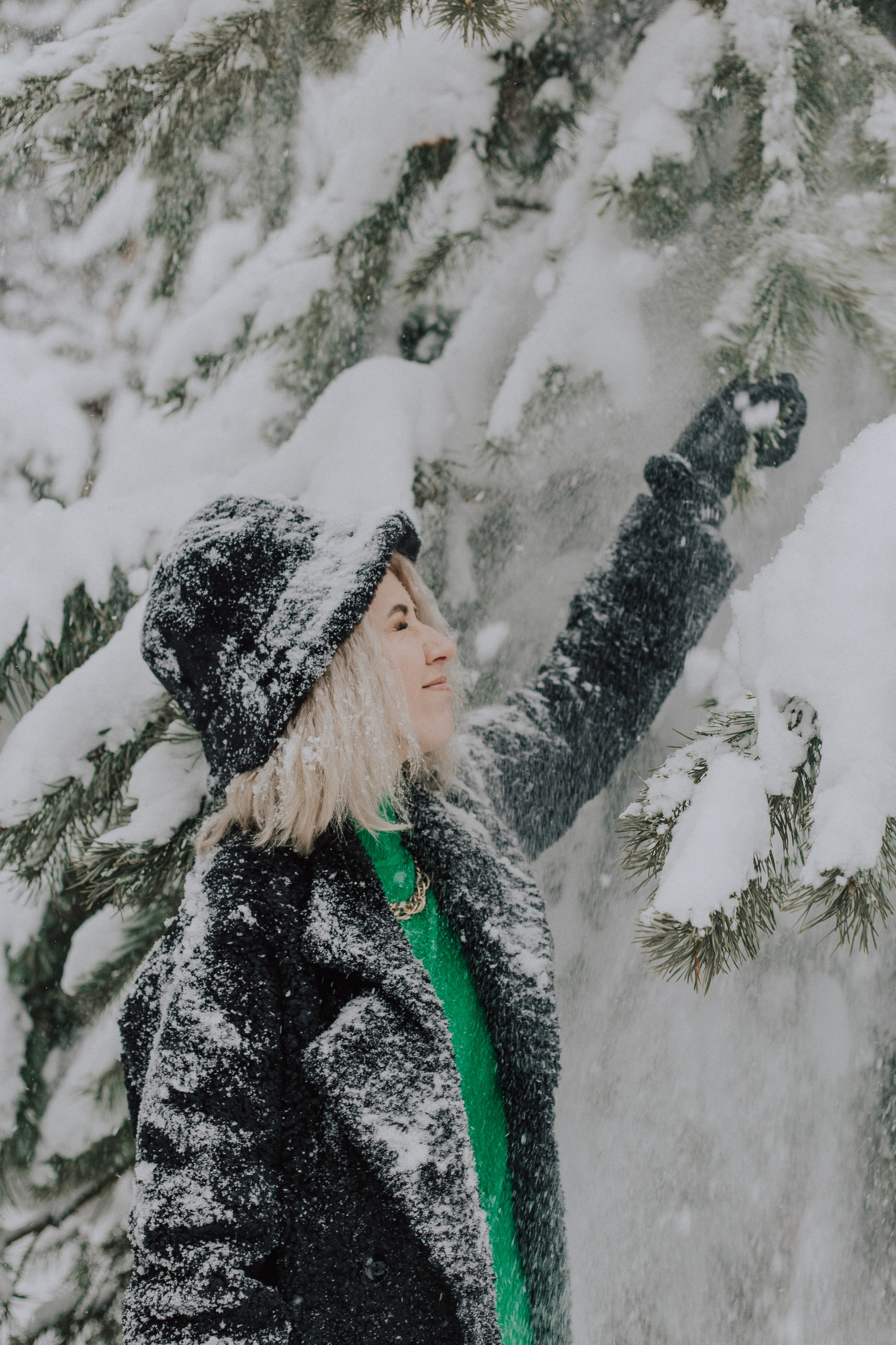 Winter. «A pet». Фотограф Москва / Балашиха