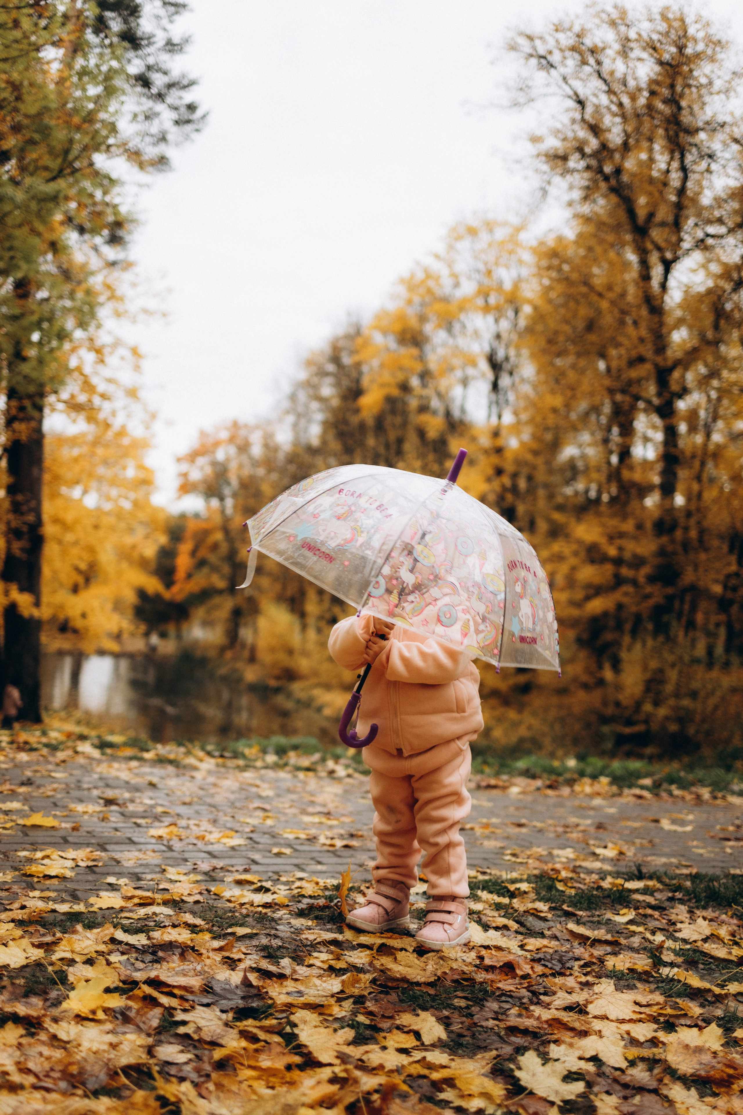 Осенняя семейная фотосъемка (11.10.2025 г.) г. Обнинск (Калужская обл.). Надежда Стар семейный и церковный фотограф в Жукове и Калужской области