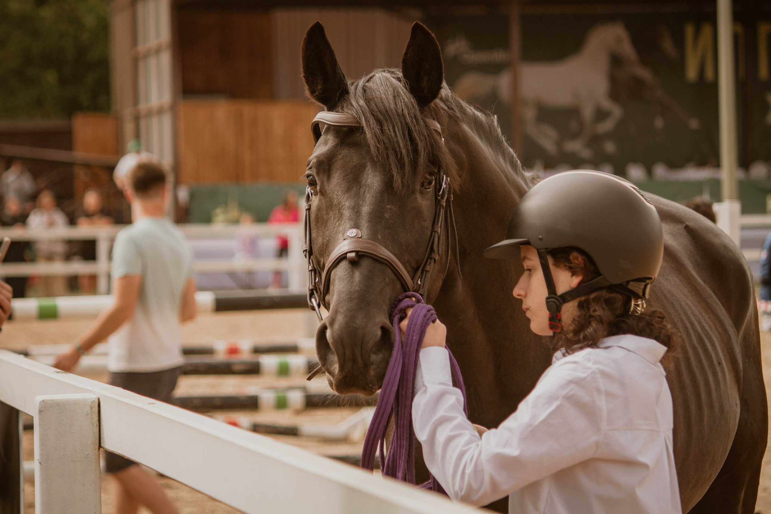 ИППОСФЕРА — Международная конная выставка. Создадим шедевр? Виталина и её фотоискусство