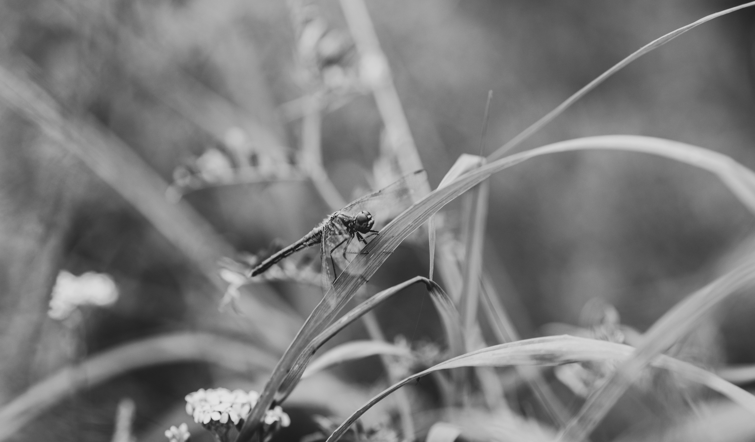 УЗСТ- Корпоративный тимбилдинг на аэродроме. Репортажный и свадебный фотограф в Челябинске Елисеев Павел