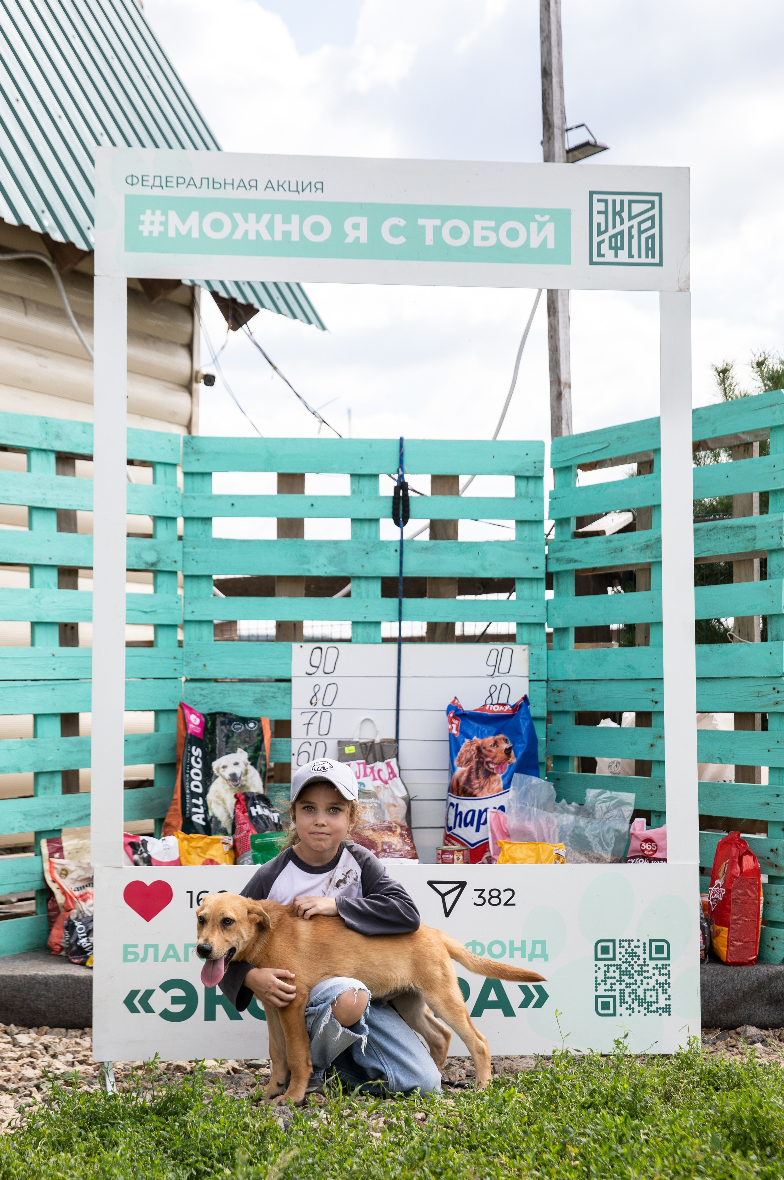 Приют — Наш дом. Репортажный и свадебный фотограф в Челябинске Елисеев Павел