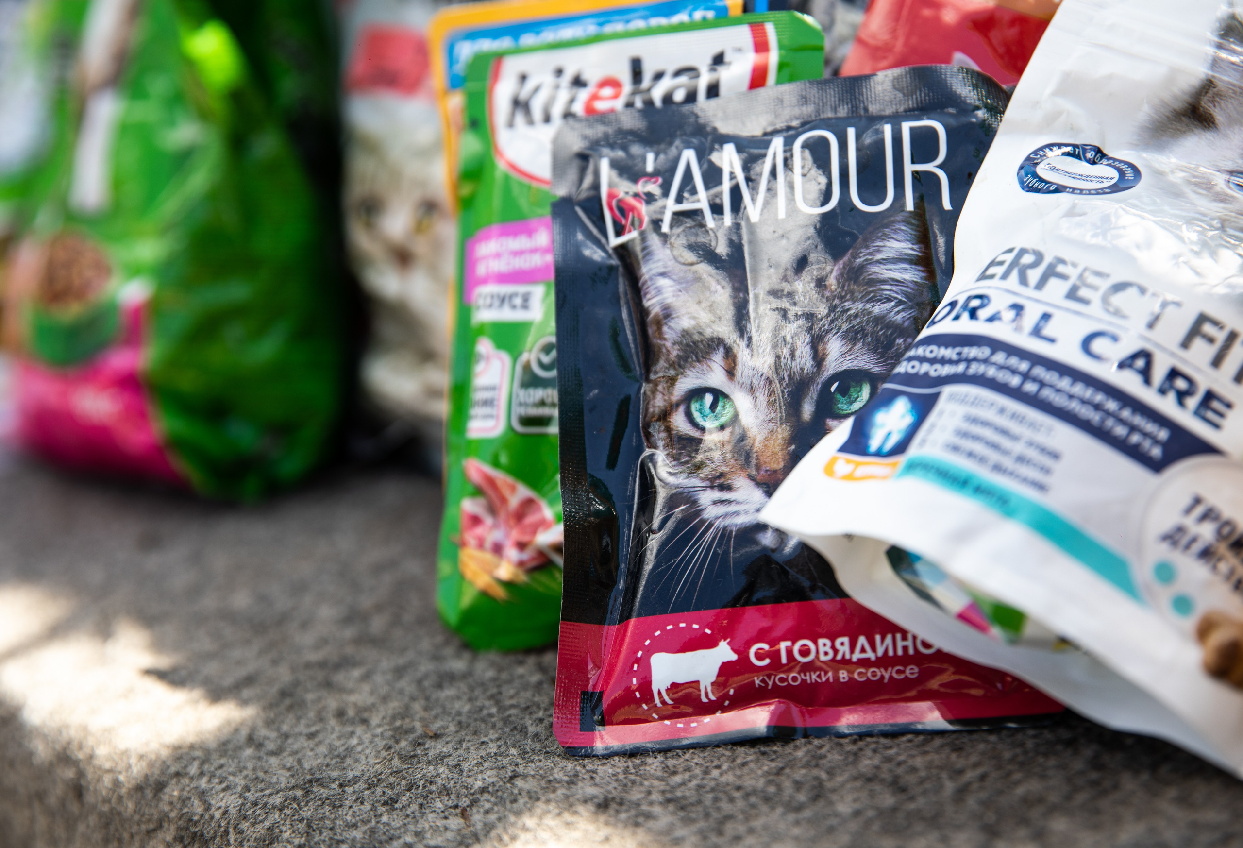 Приют — Наш дом. Репортажный и свадебный фотограф в Челябинске Елисеев Павел