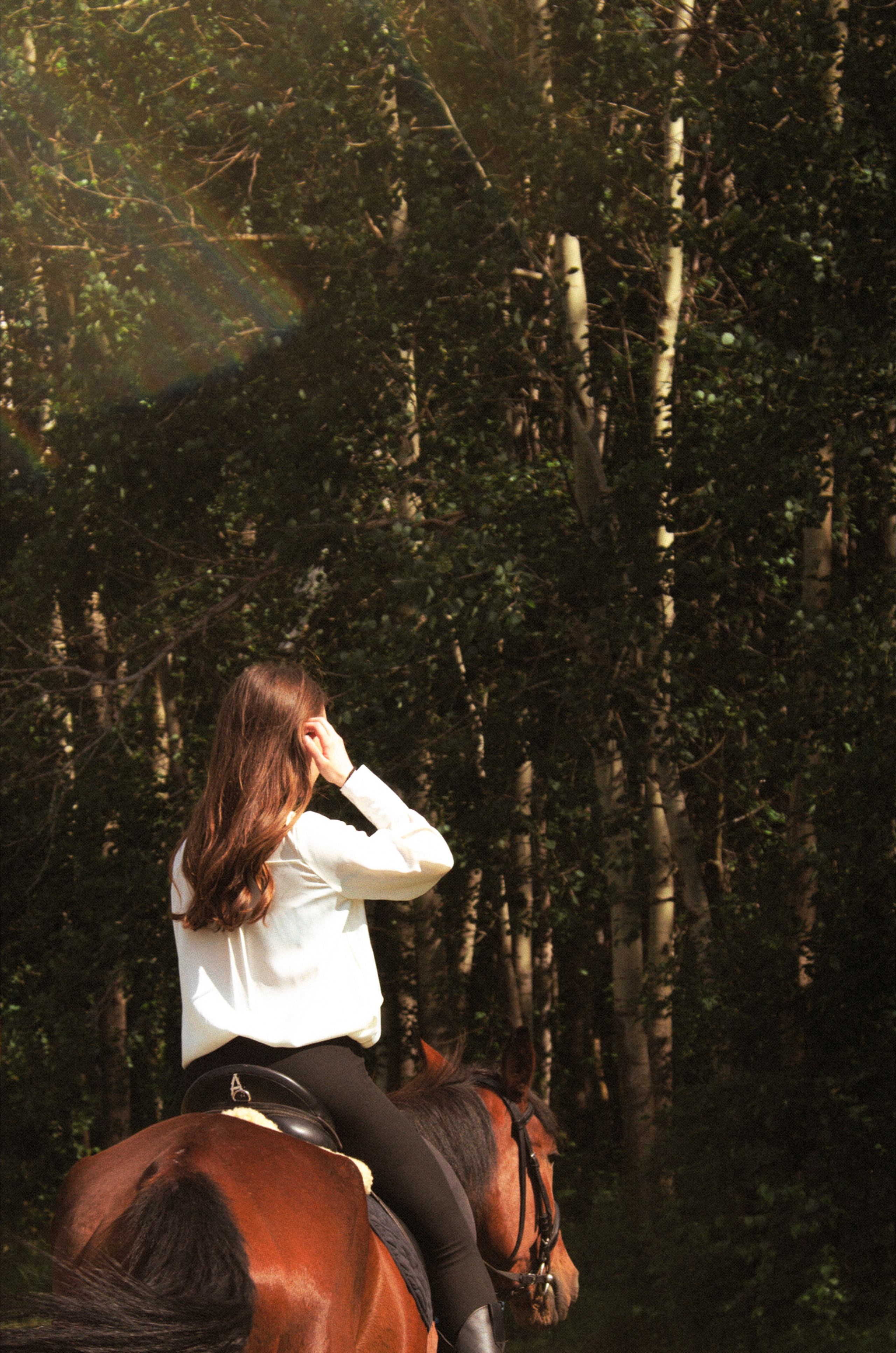 Конный Двор. Фотографы в Тюмени Андрей и Лидия Войвод