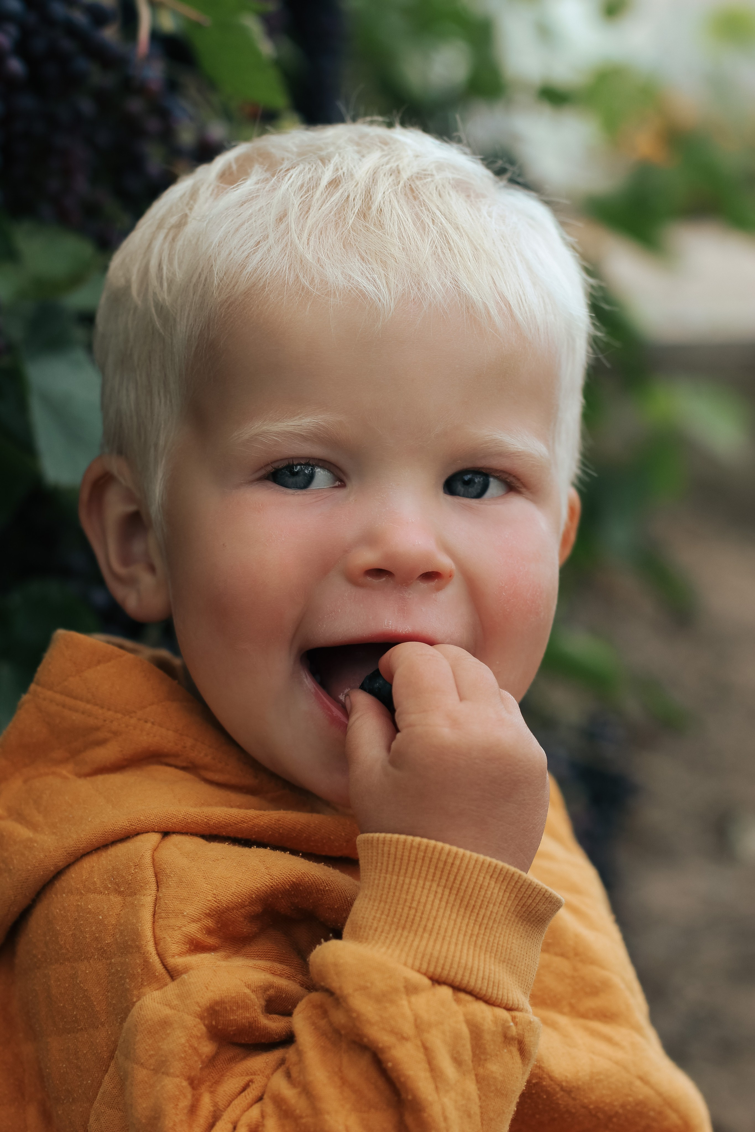 Детская. Семейный фотограф Колосова Полина