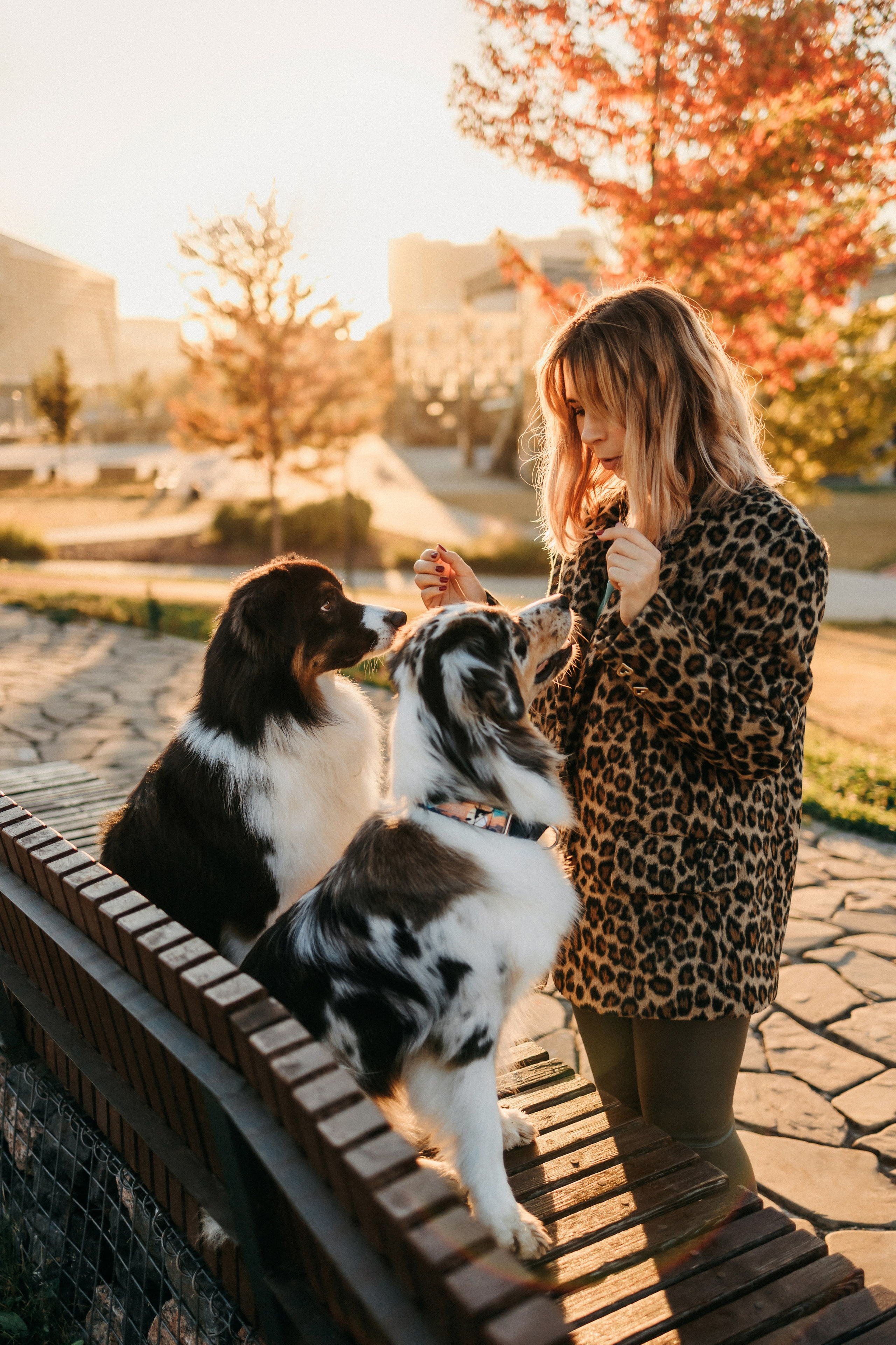 Аня, Чарли и Ева. Фотограф-анималист Елена Радченко, Москва
