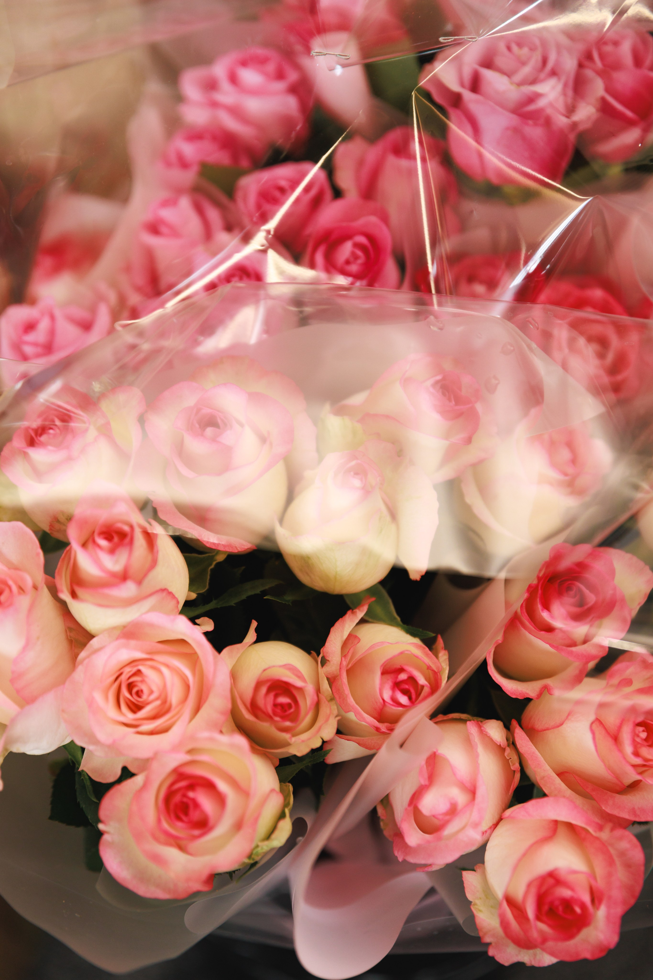 Полуфинал конкурса «Нежный Грант». Фотограф Воронеж, Новая Усмань Мария Бублик