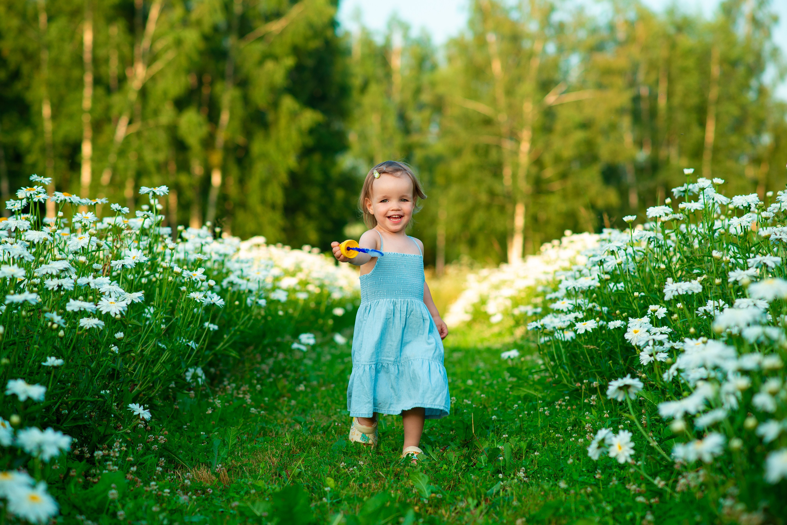 Вероника с семьей в ромашках. Семейный фотограф на выписку из роддома и крещение Минск Настя Гришук