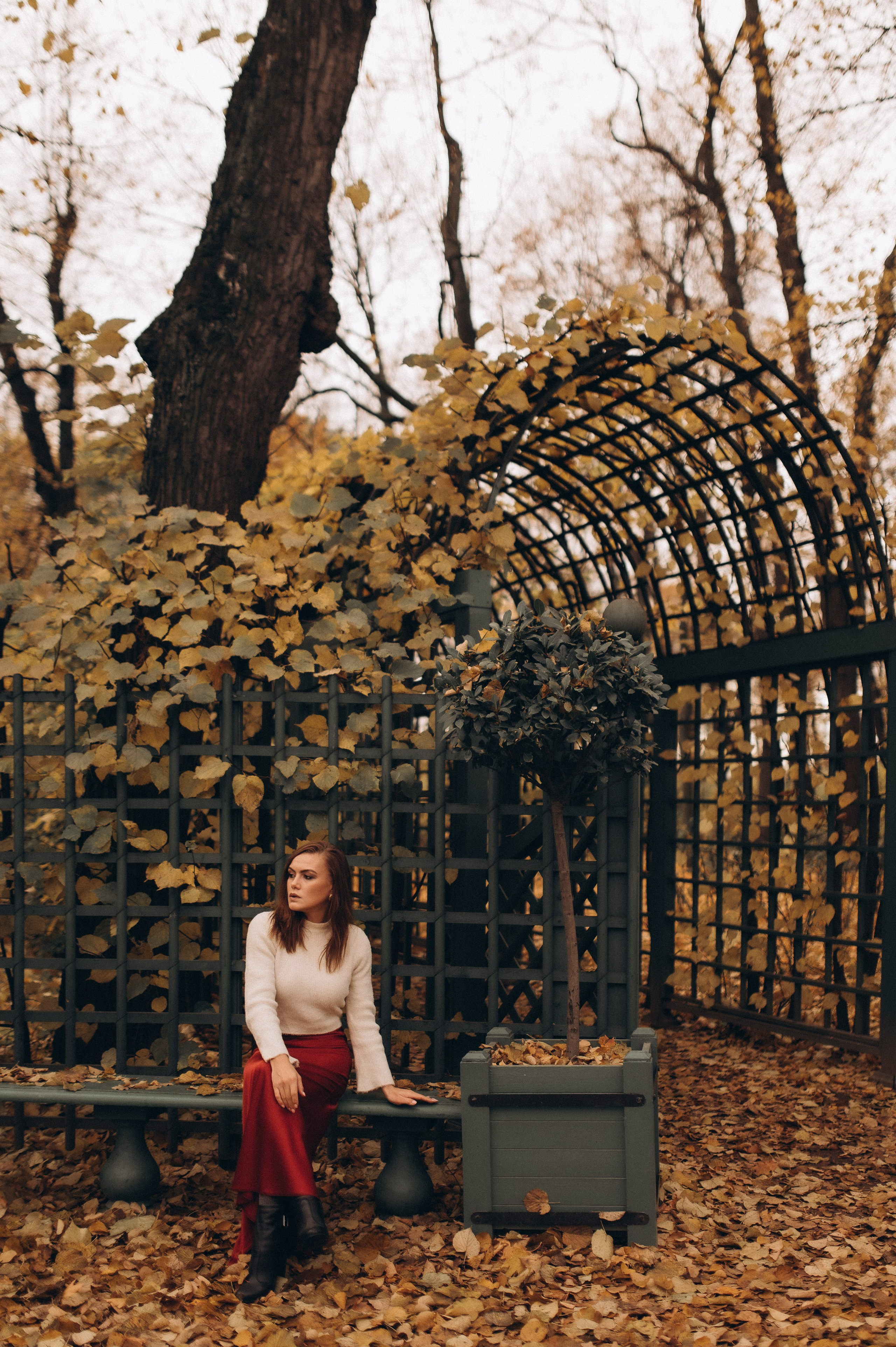 Осенняя индивидуальная фотопрогулка летний сад. Фотограф ПИТЕР СПБ Надежда Баранова