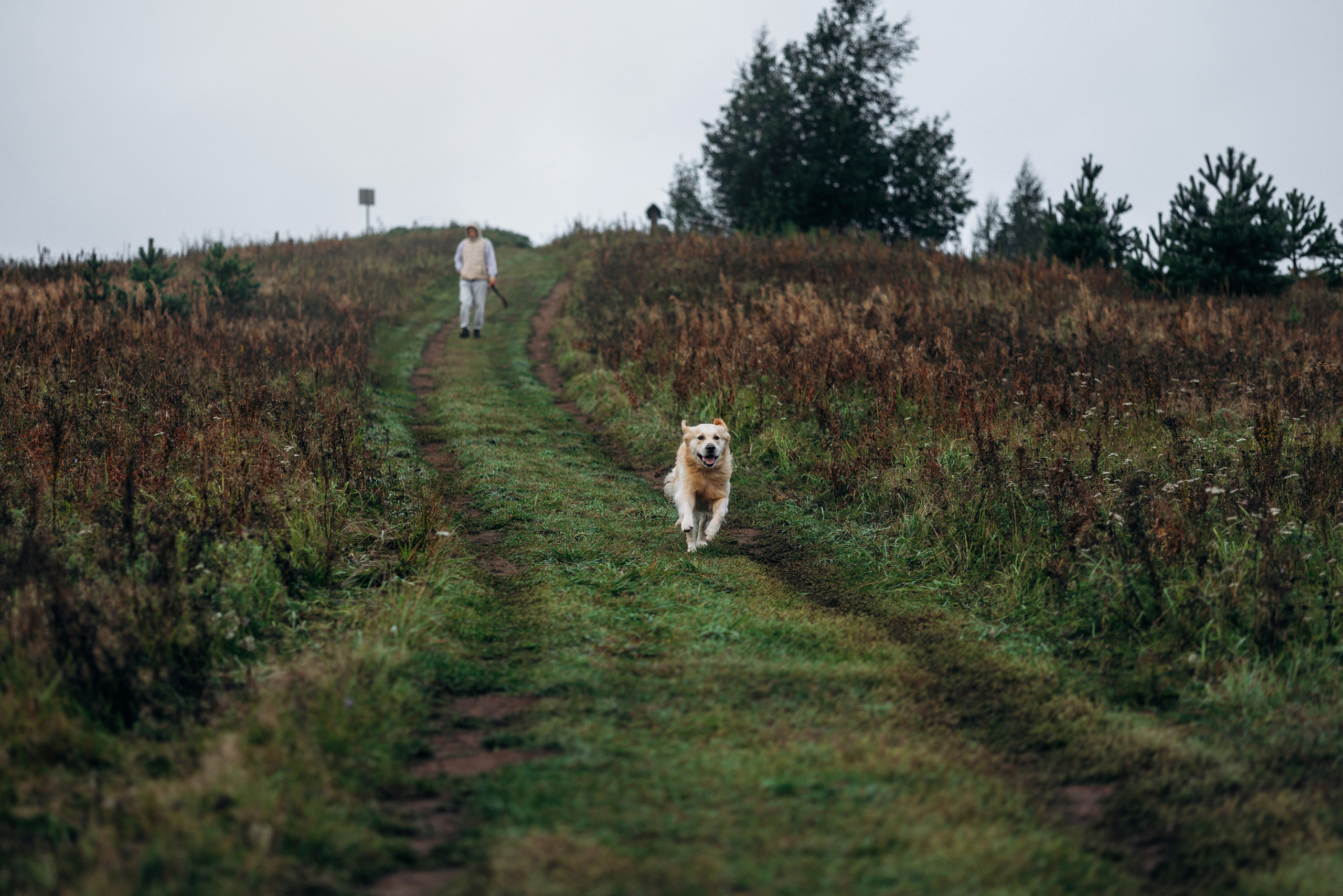 Лёва и его семья. Фотограф — Анималист | Санкт-Петербург
