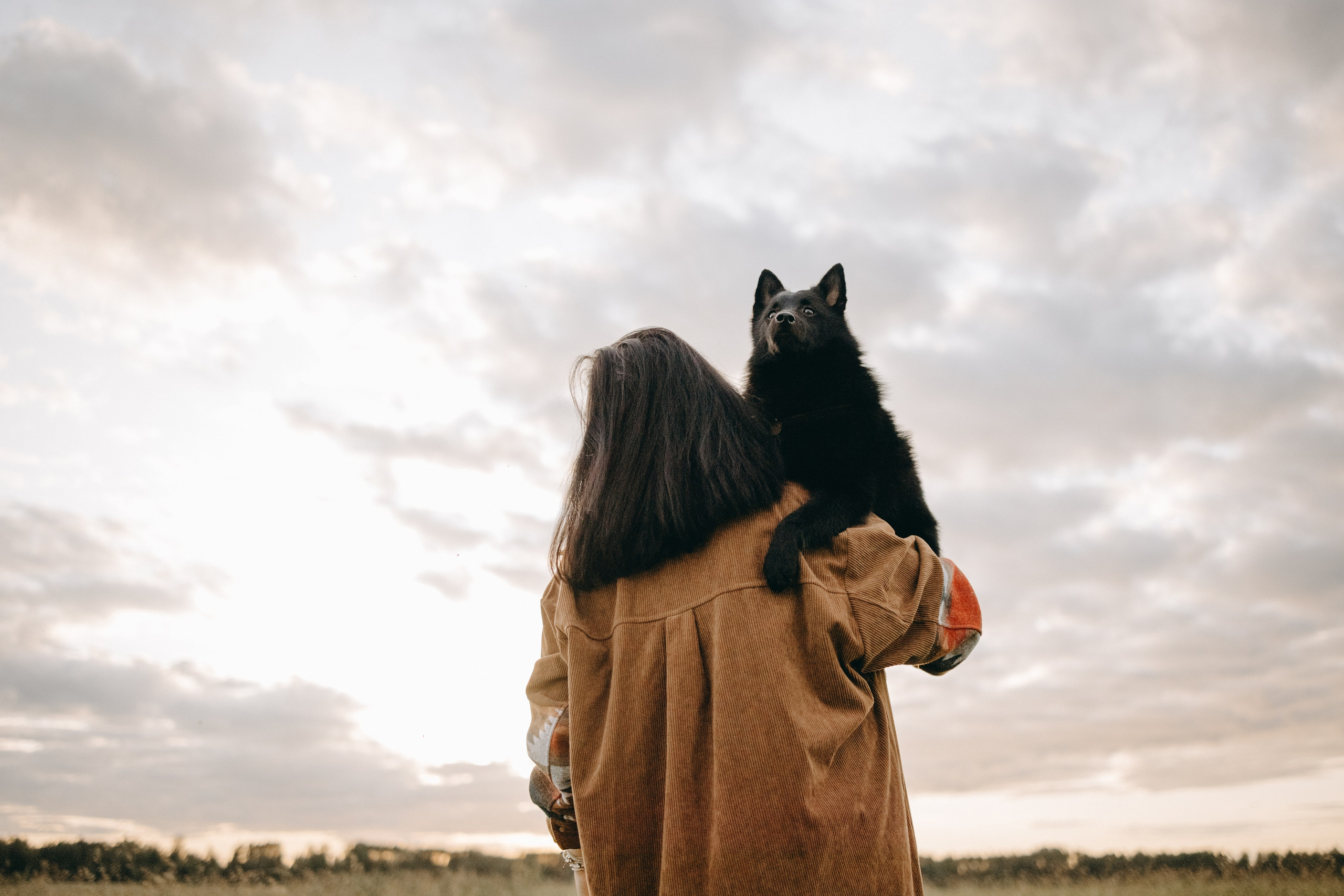 Анна и Максимус. Фотограф — Анималист | Санкт-Петербург