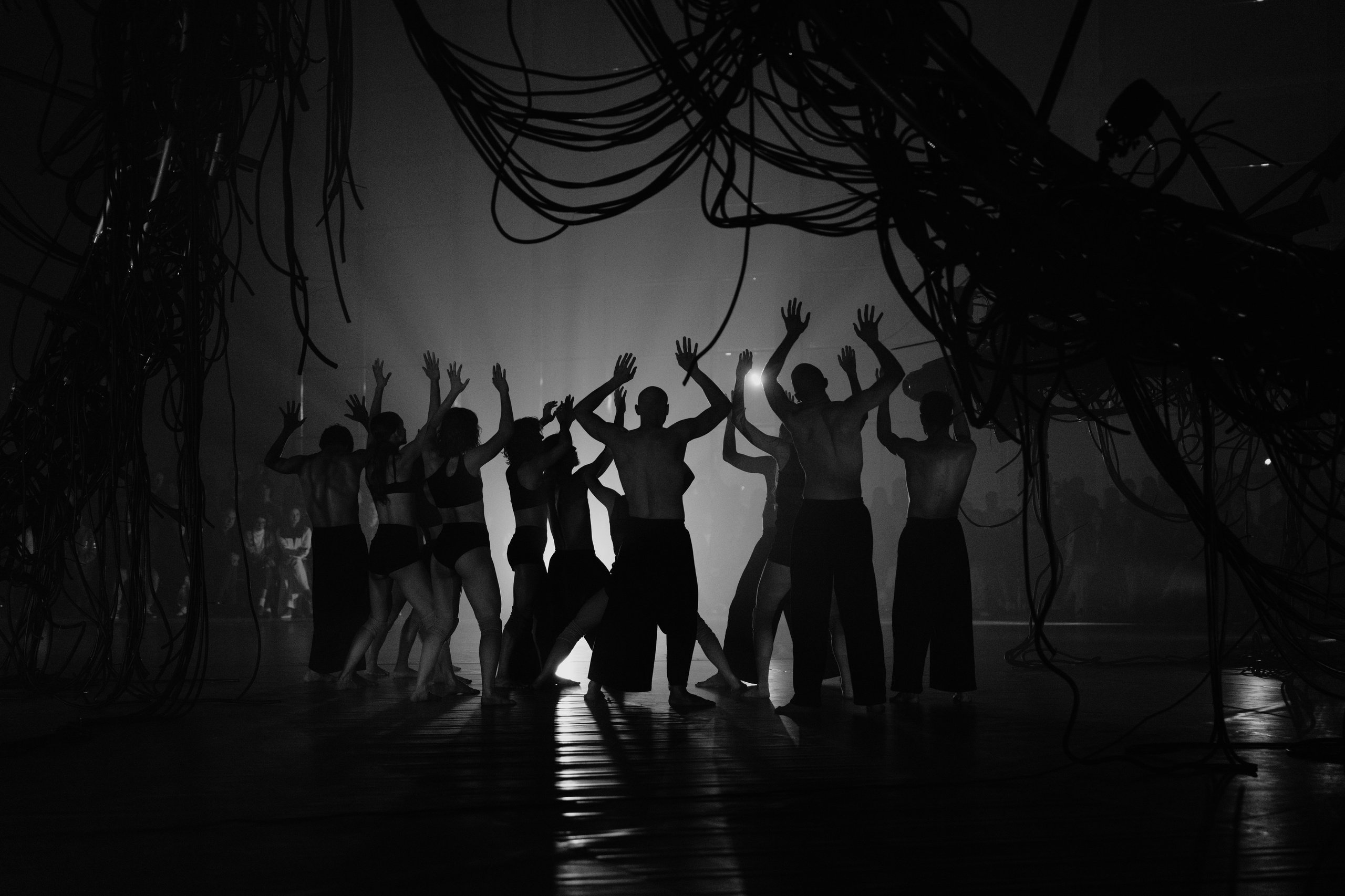 PERFORMA, The Hour of the Horse. @tomrus: Рустам Шагиморданов — фотограф