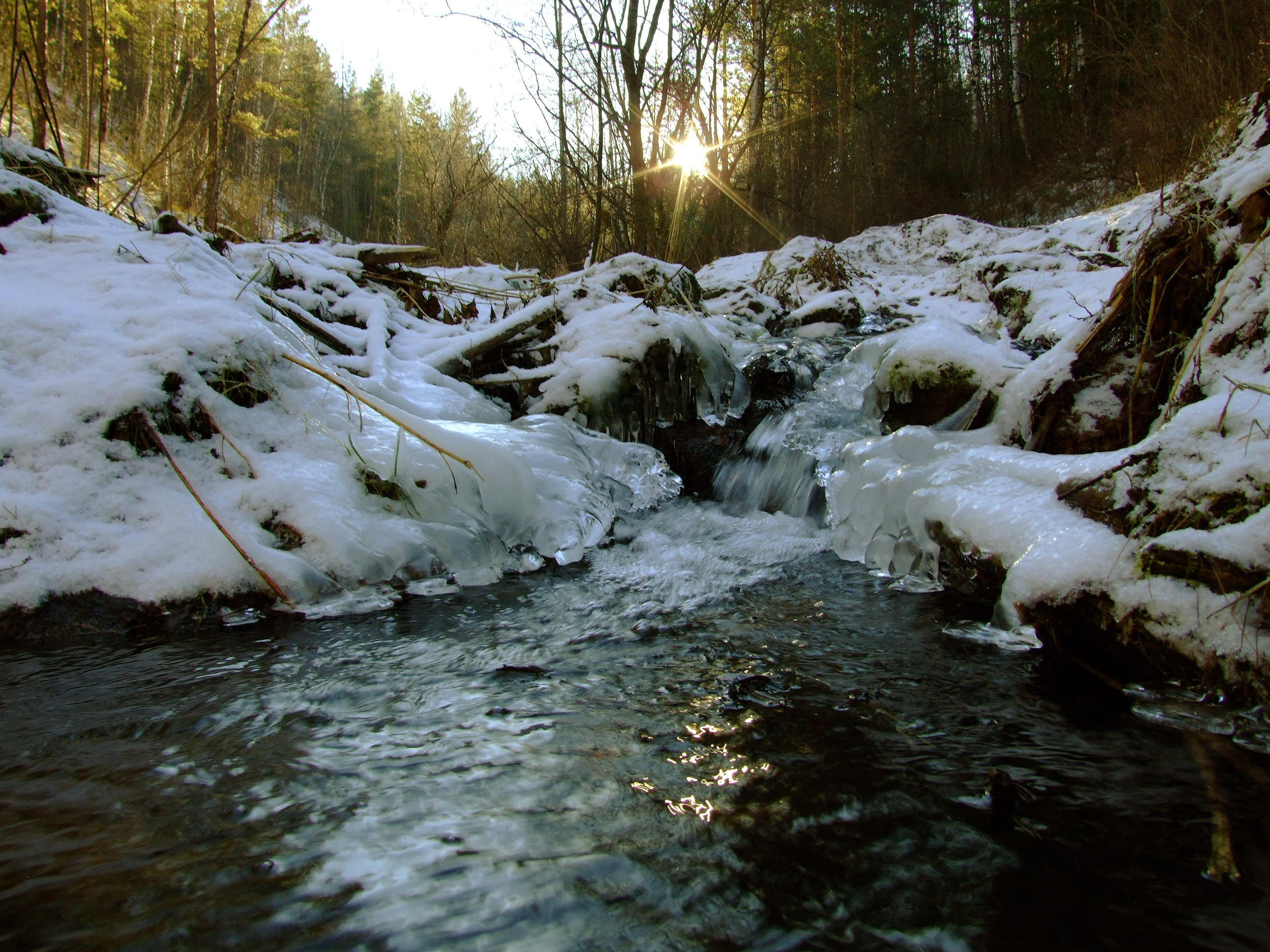 Живописные фотографии природы. Фотограф в Москве и Подмосковье, Николай Сорокин