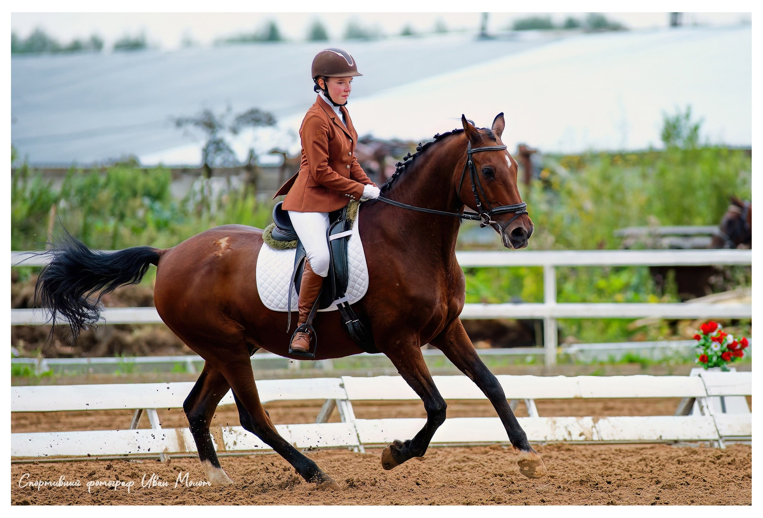 Конный спорт. Спортивный фотограф Иван Молот (Киров)
