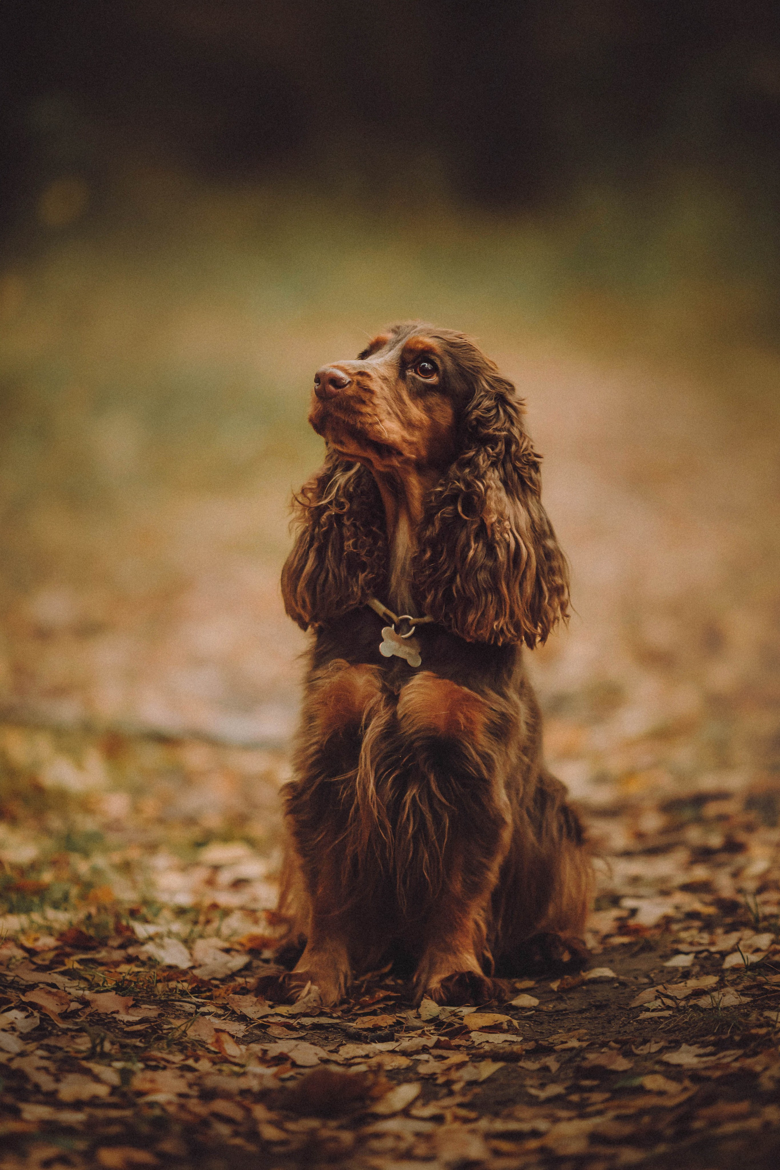 Настя, Саша и Эстер