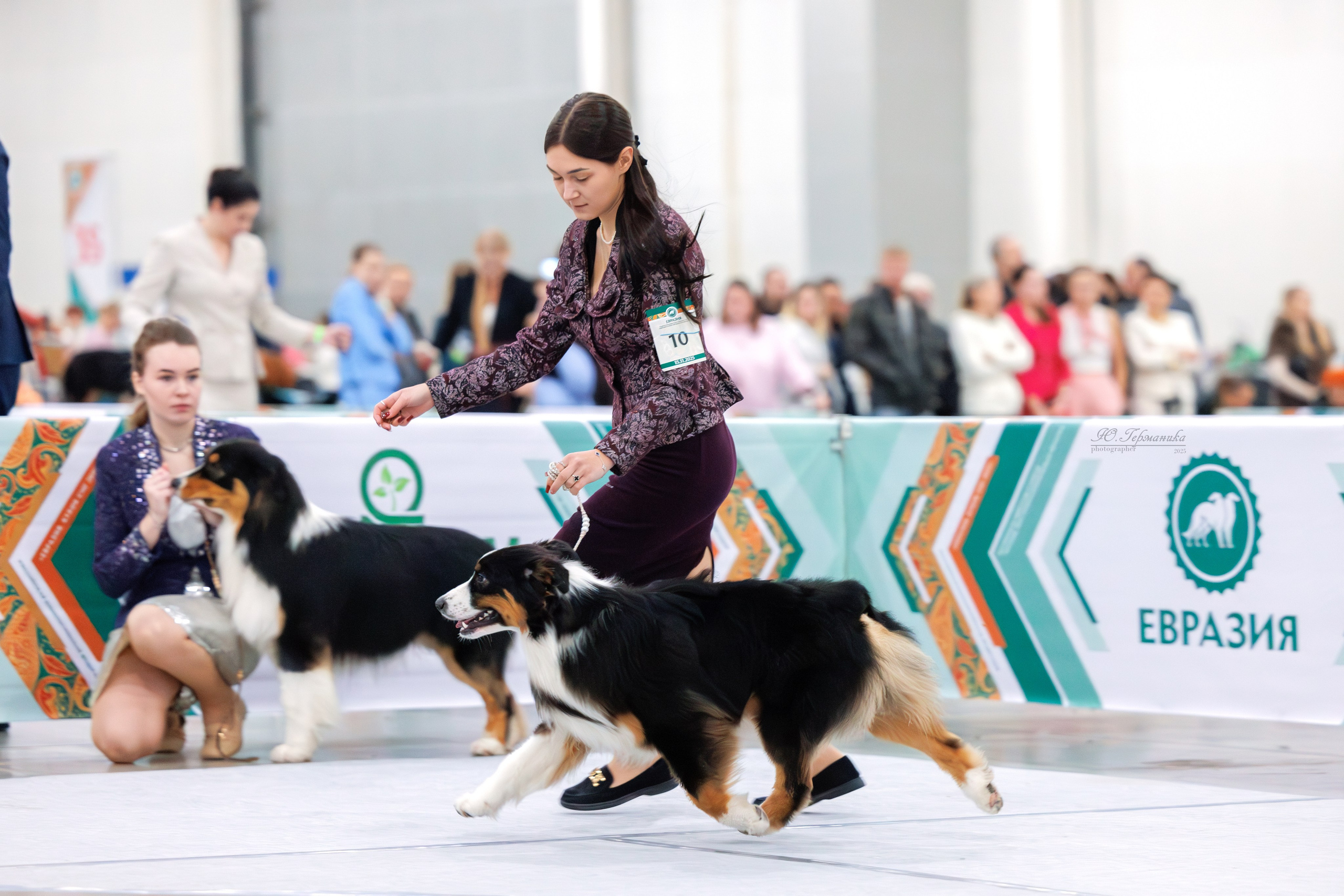 Евразия 15-16.11.2025. Фотограф-анималист Юлия Германика