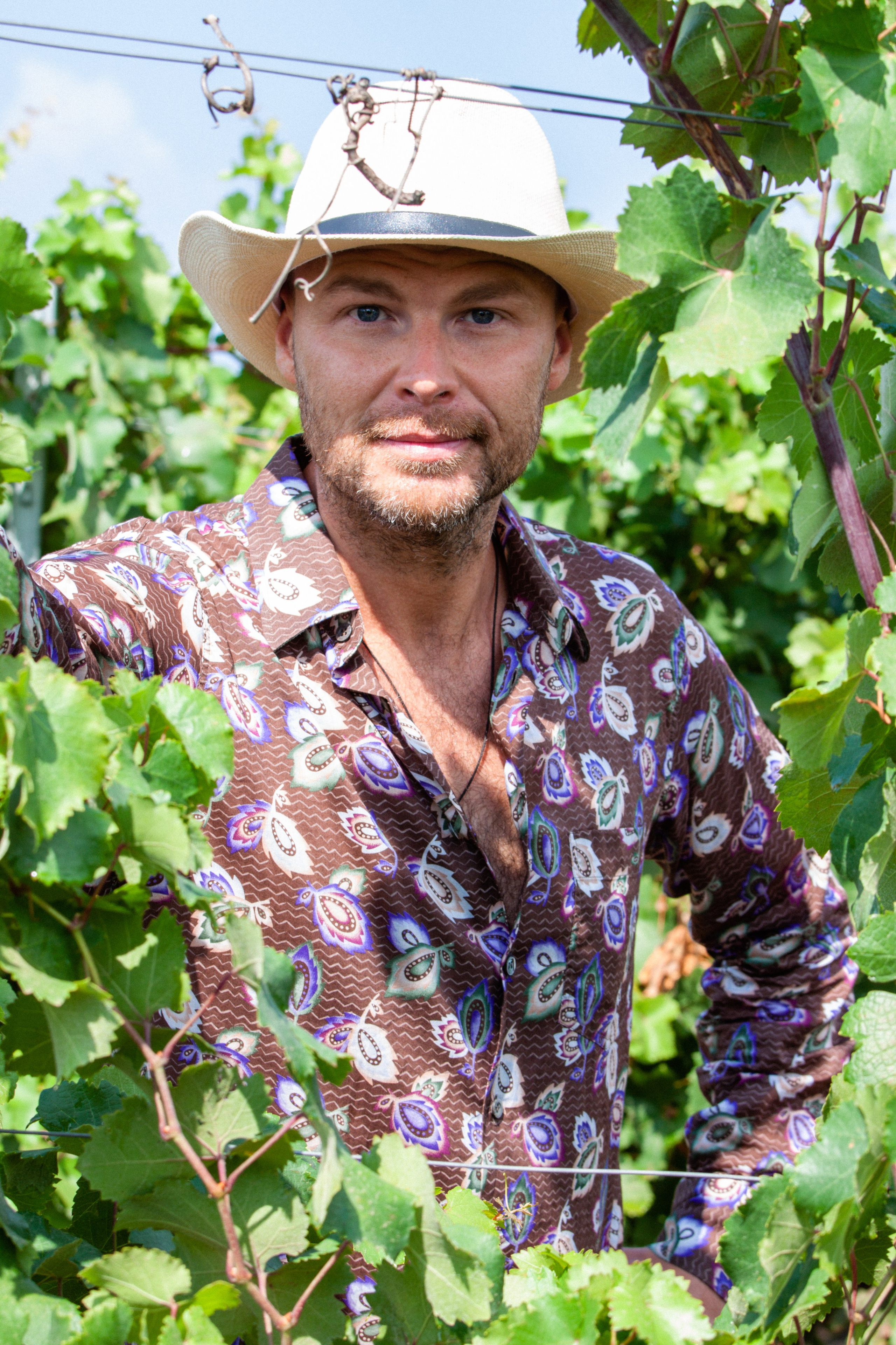 Kuban vineyards. Дария Галямова — фотограф: открытый, творческий, коммерческий