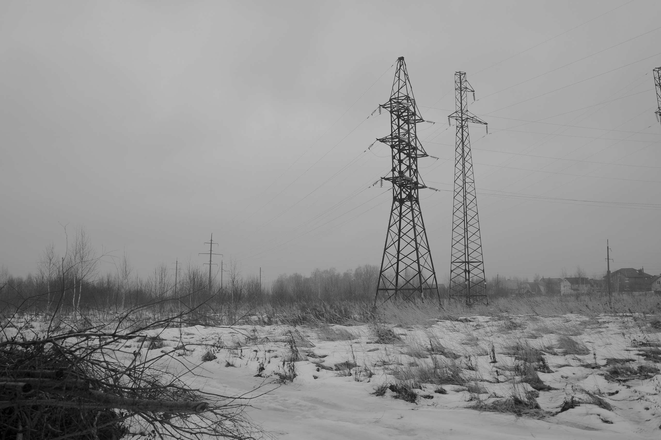 — 2025. Фотограф Злата Спицына