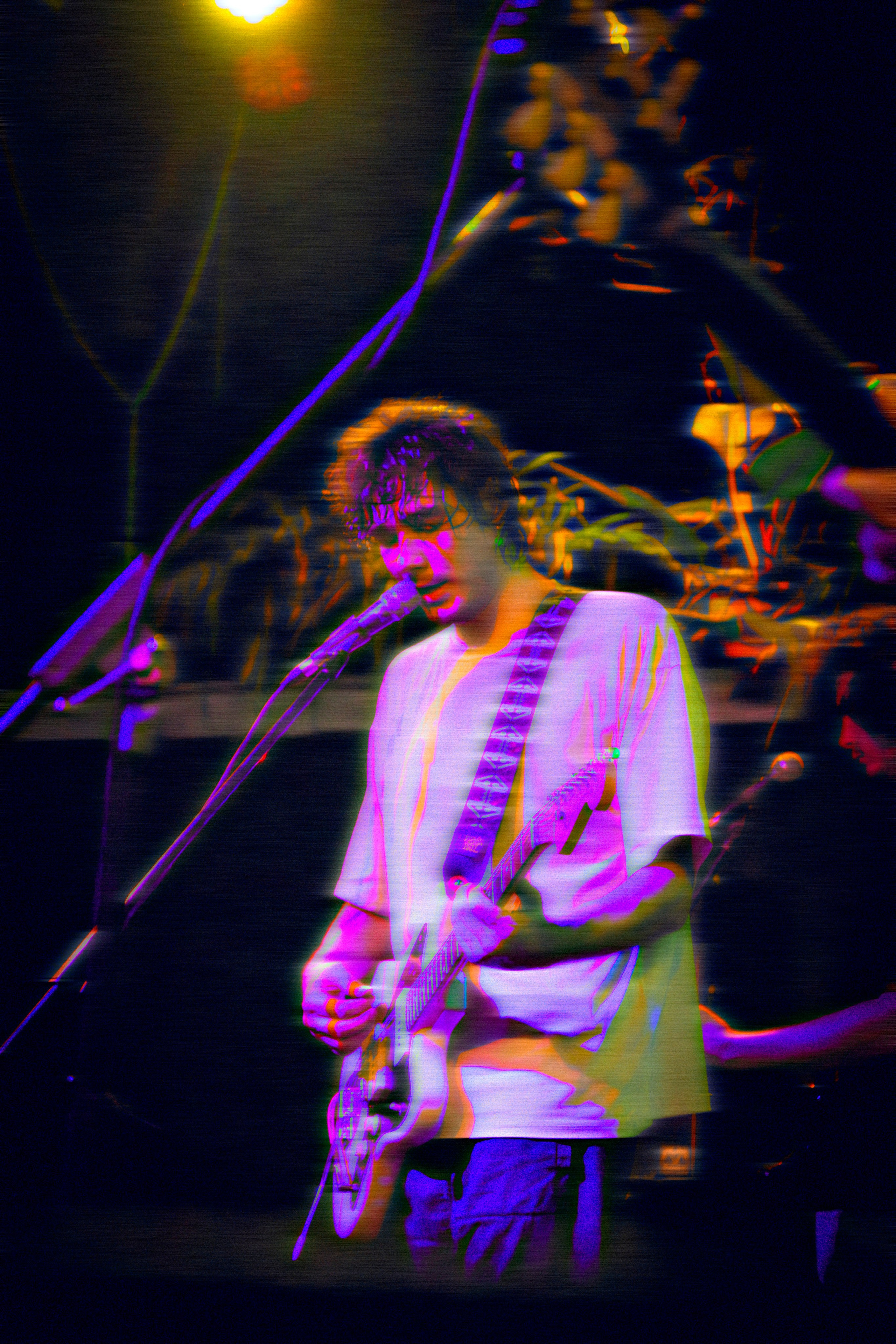 Из наблюдений. Плак или Квак