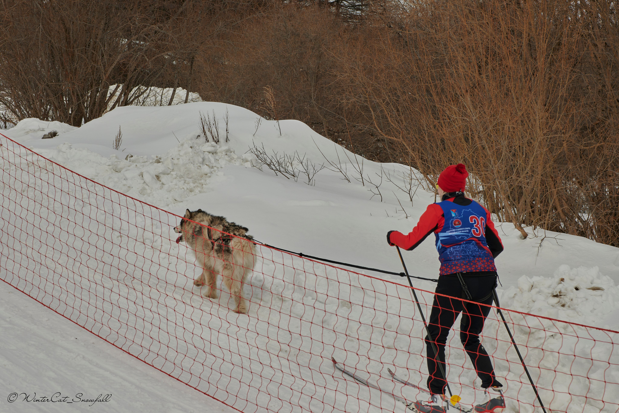 Дзяблу 30.03. Портретный и репортажный фотограф в Магадане Андрей Нефедов WinterCatPhoto