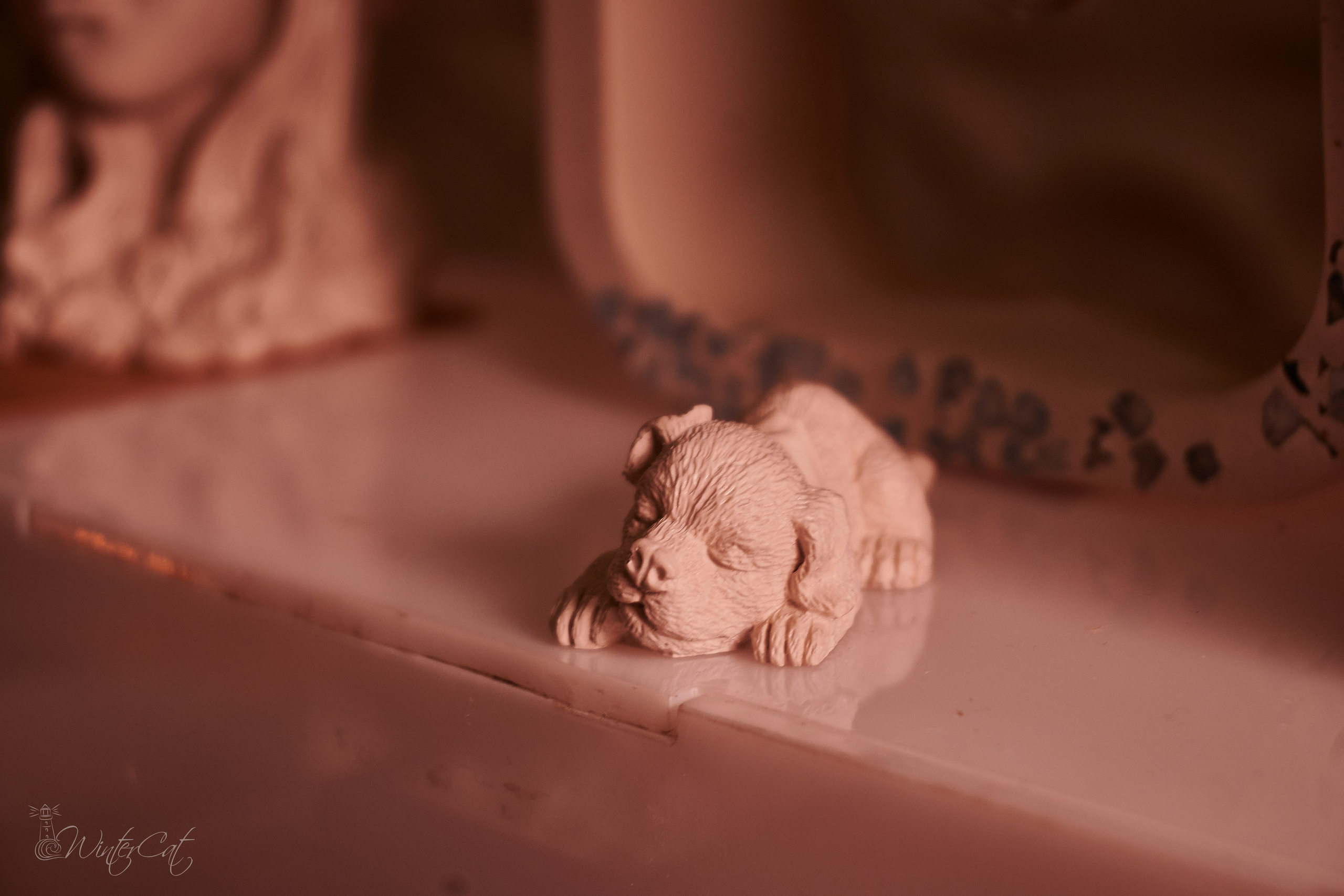 Ярмарка 07.12.24. Портретный и репортажный фотограф в Магадане Андрей Нефедов WinterCatPhoto