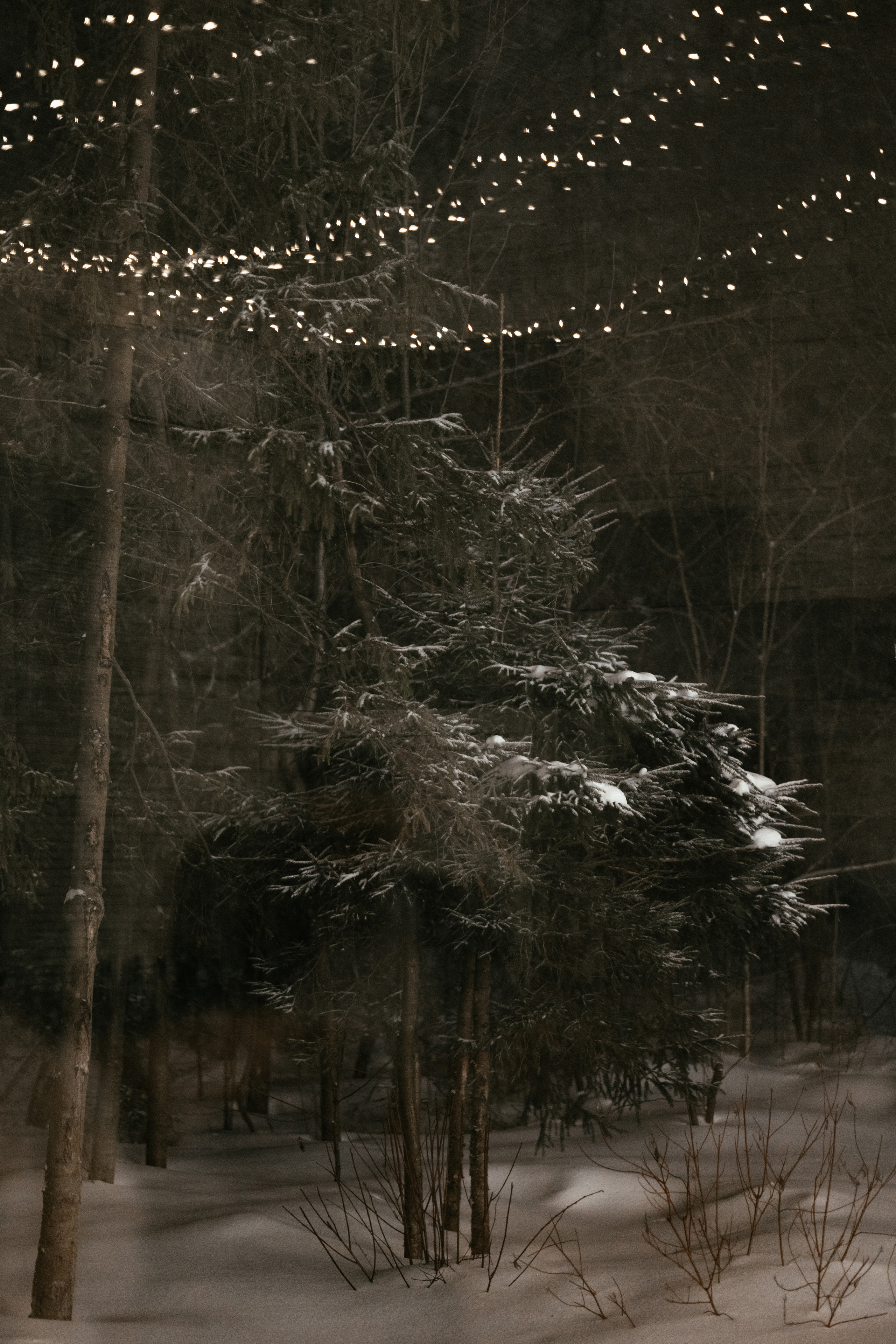 Олеся и Сергей