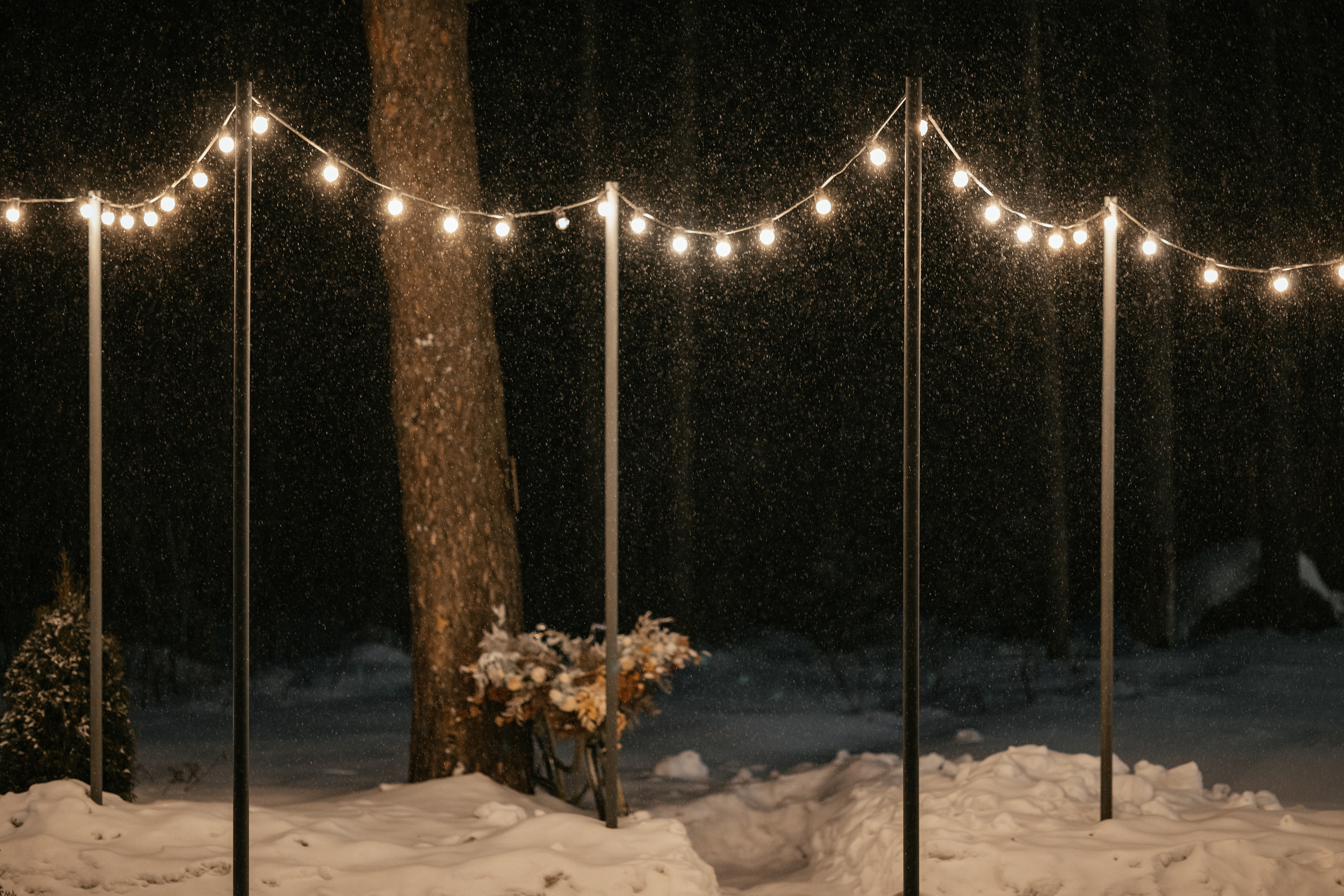 Олеся и Сергей