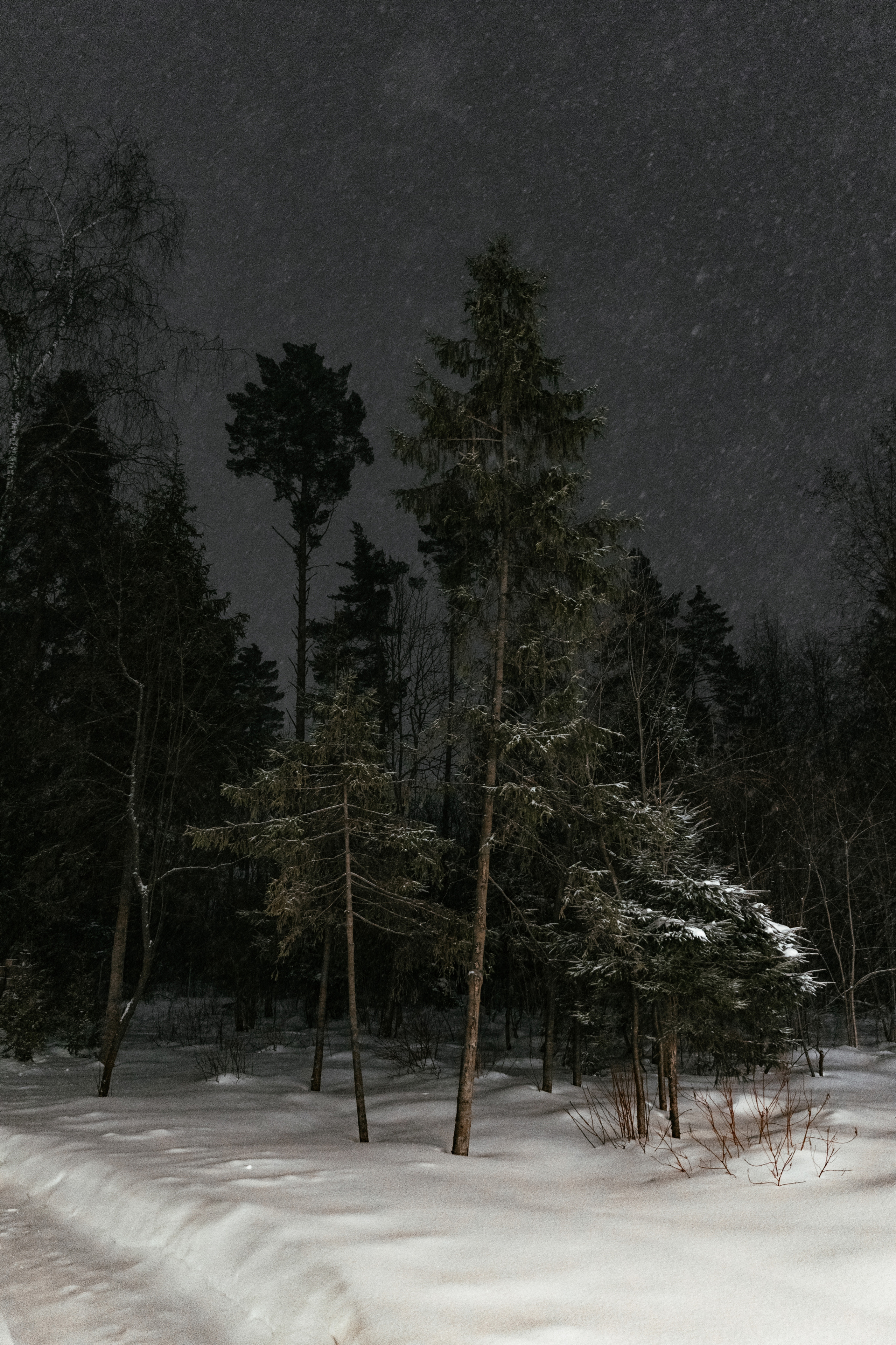 Олеся и Сергей