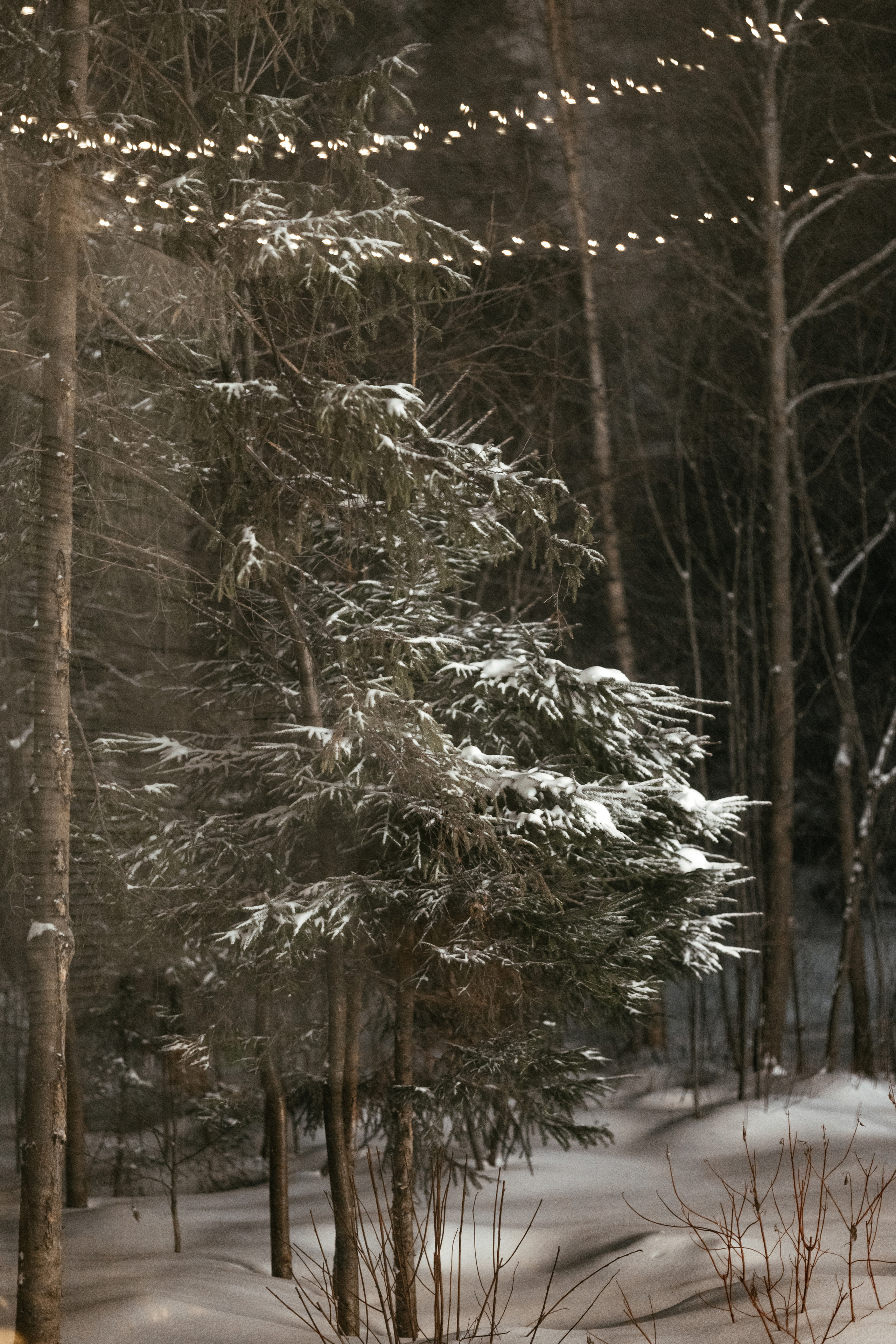 Олеся и Сергей