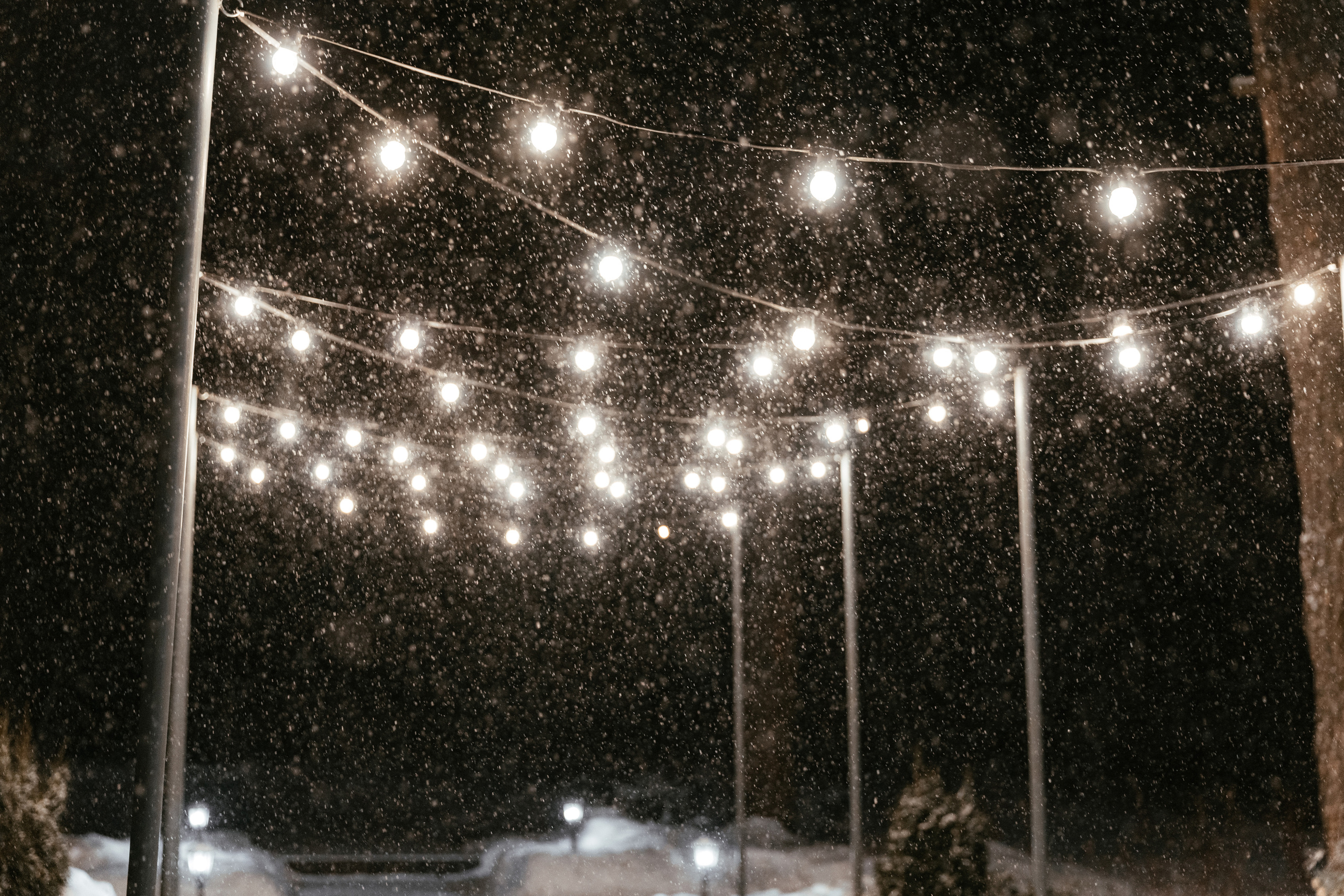 Олеся и Сергей