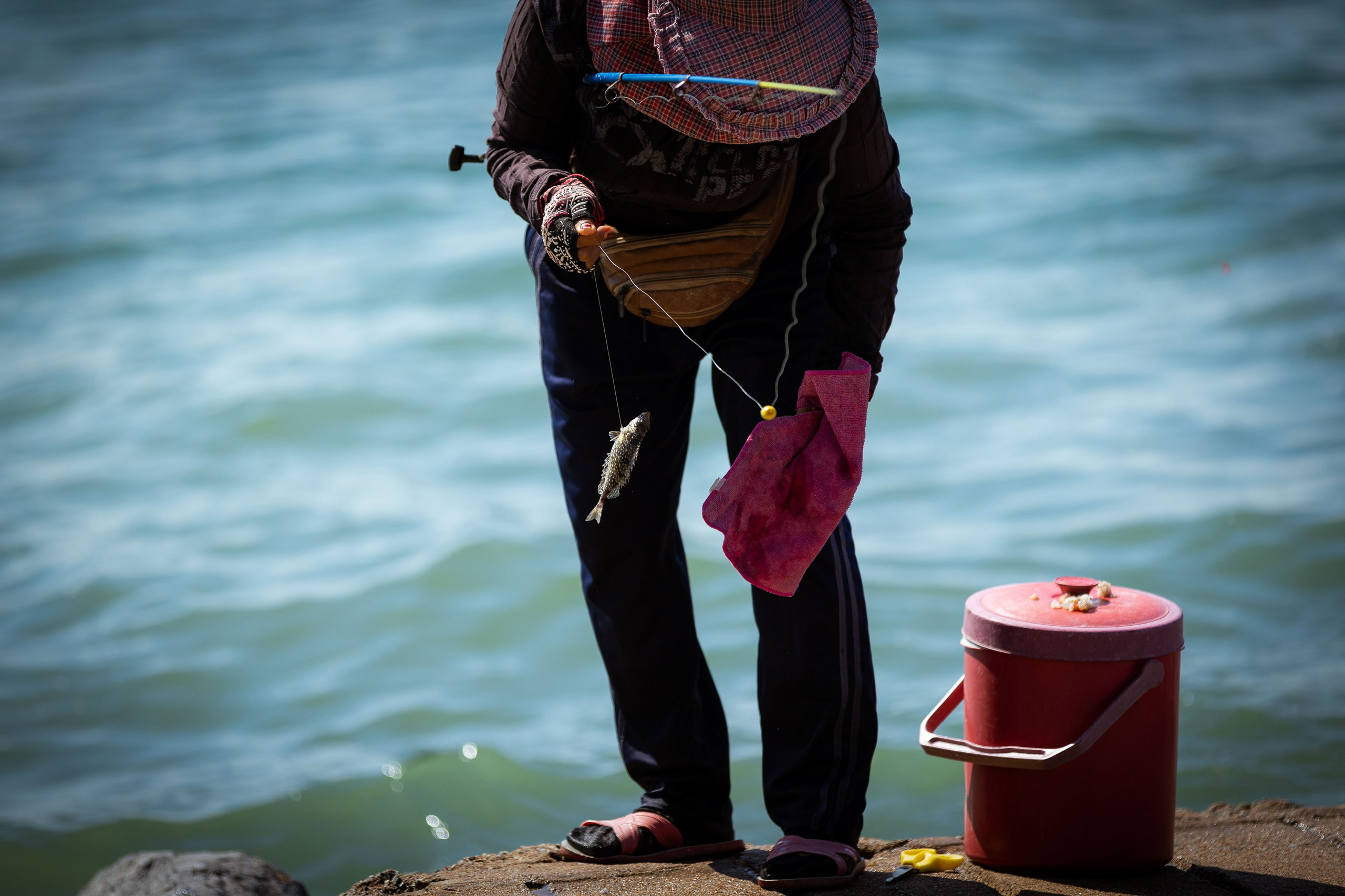 Таиланд (зима 2025). Фотограф Виноградов Константин