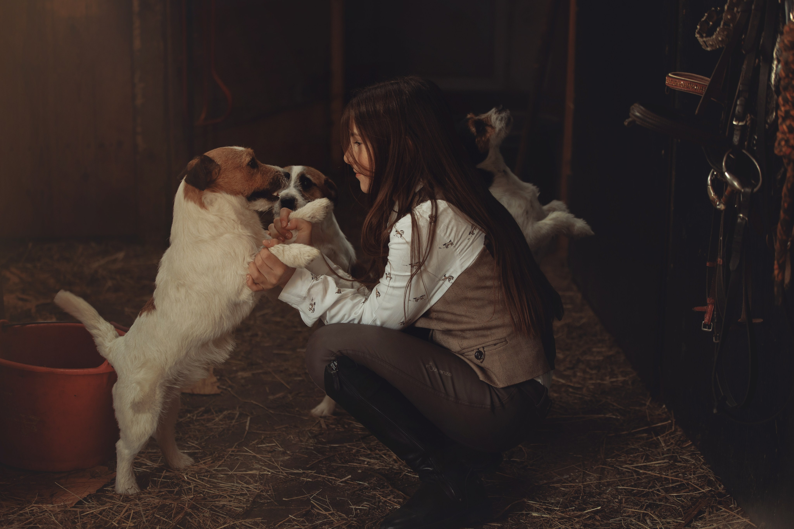 Детская конная съёмка. Детская Конная фотография в Москве Юлия Шепелева