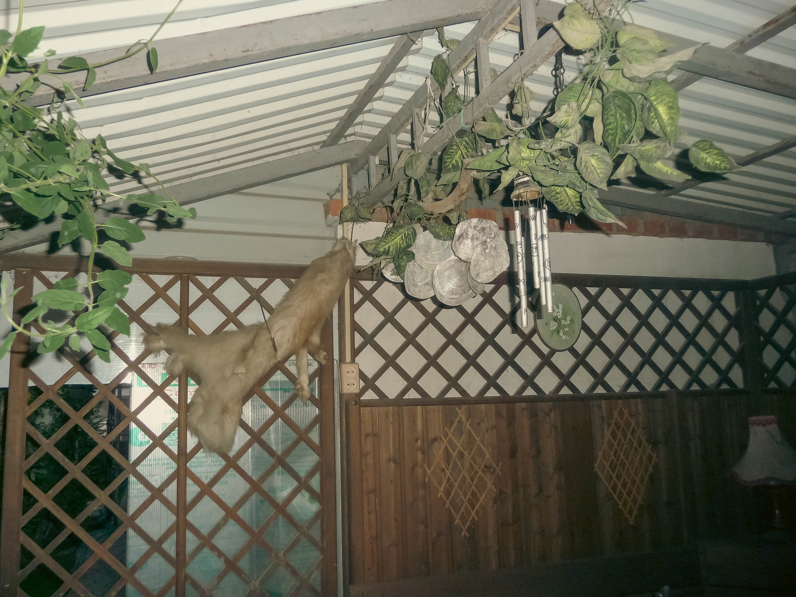 Внутри. Фотограф Анастасия Лощакова в Москве