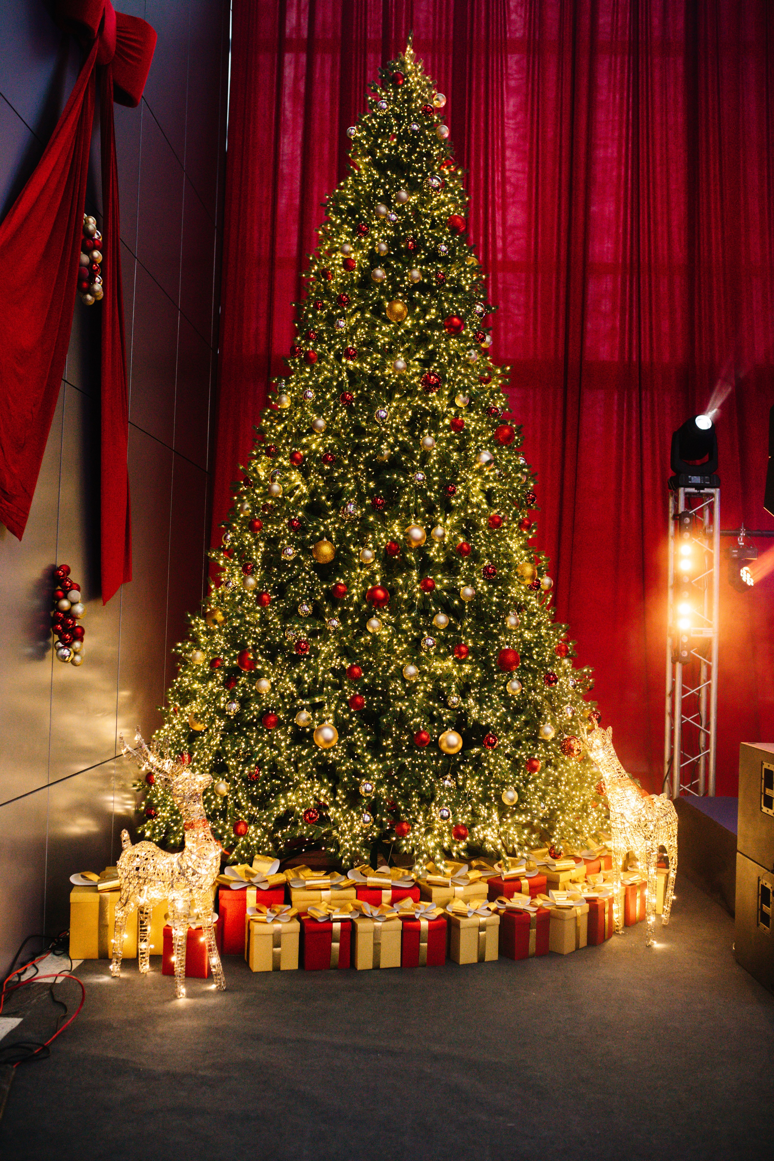 Геоспецстрой 2025. Nadezhdin Studio