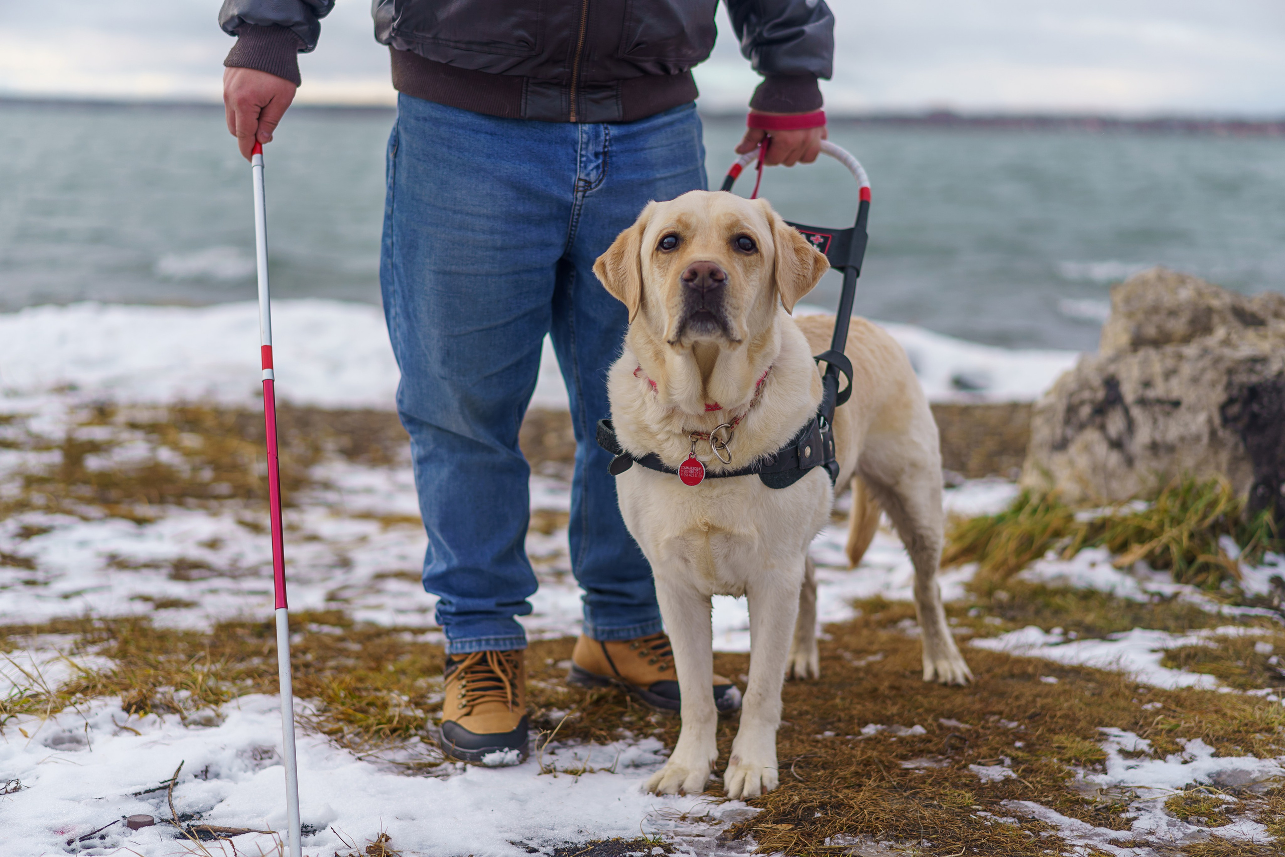 Юрий и собака-поводырь Ямал. Фотограф Челябинск · Ольга Серебрякова