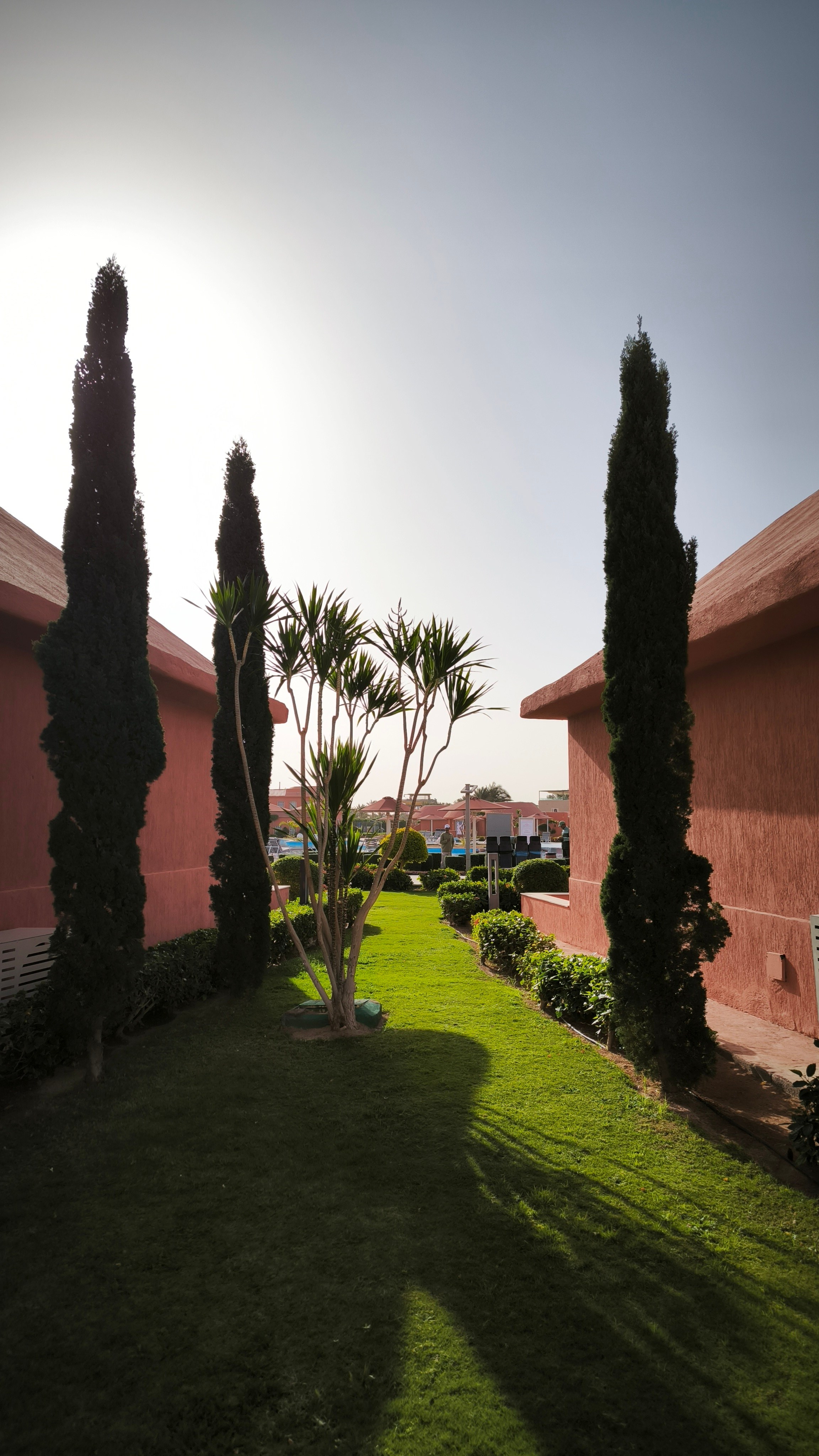 Шарм-Эль-Шейх. Светлана Иванова - профессиональный фотограф