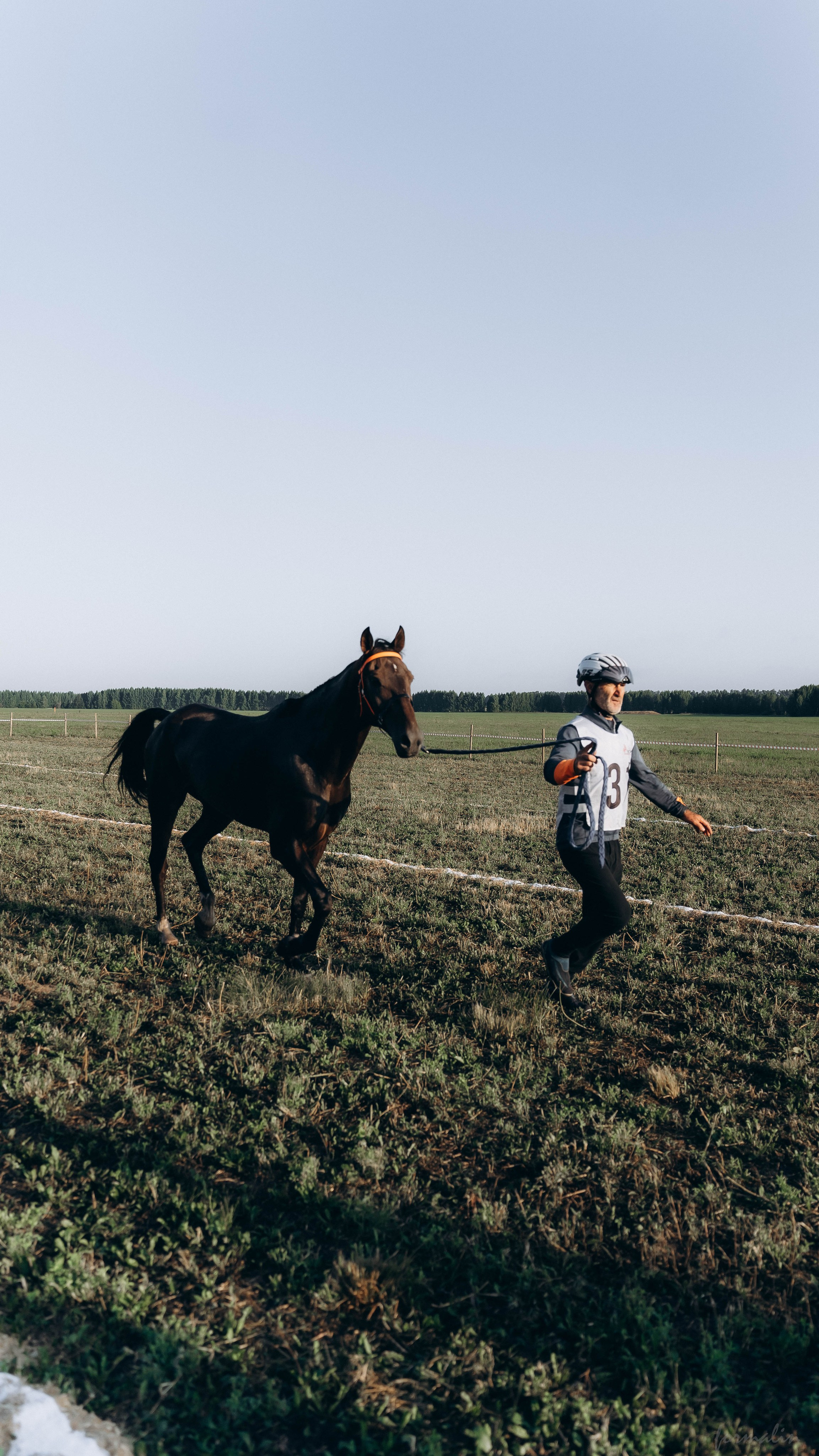 День Коня. Алиса Никитцова | Фотограф в Казани