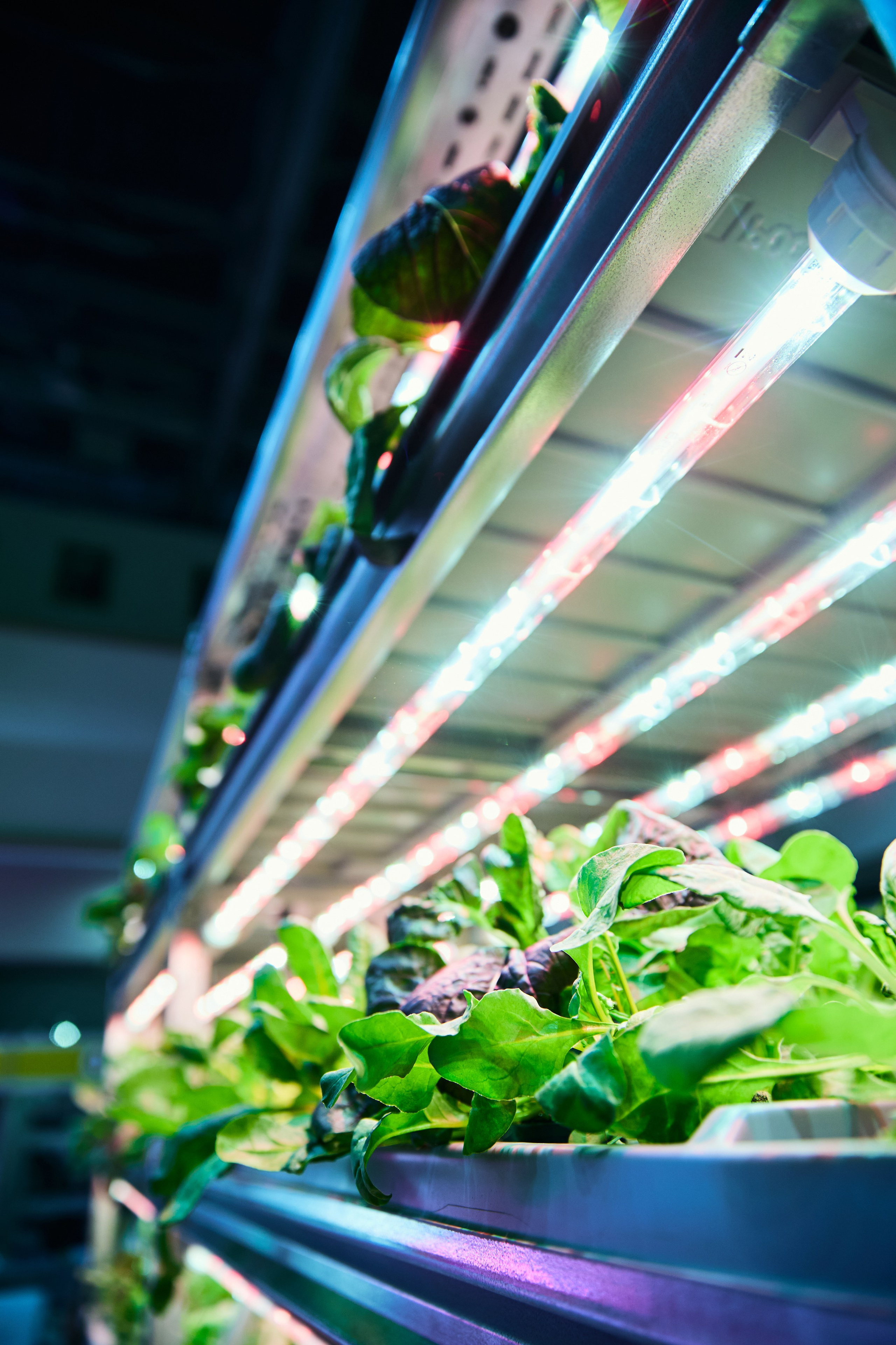 35. Фотограф Недорез Александр в Москве. Репортаж на ваших мероприятиях