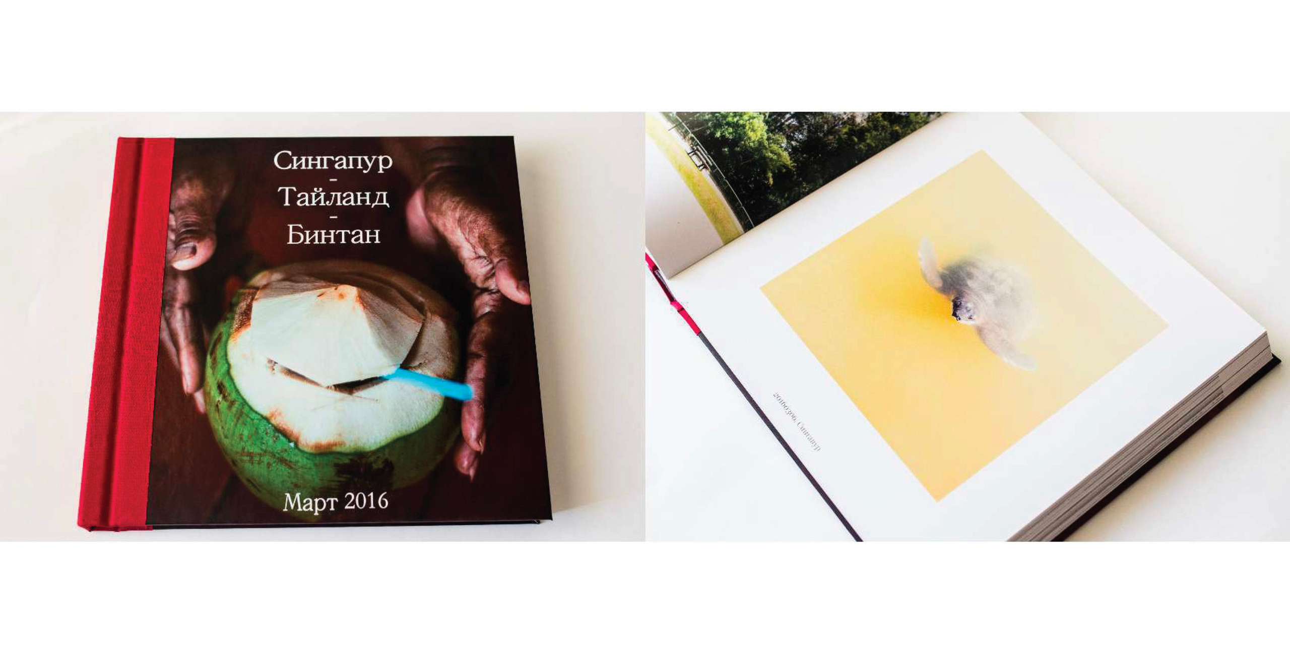 BEST FAMILY BOOK 2017