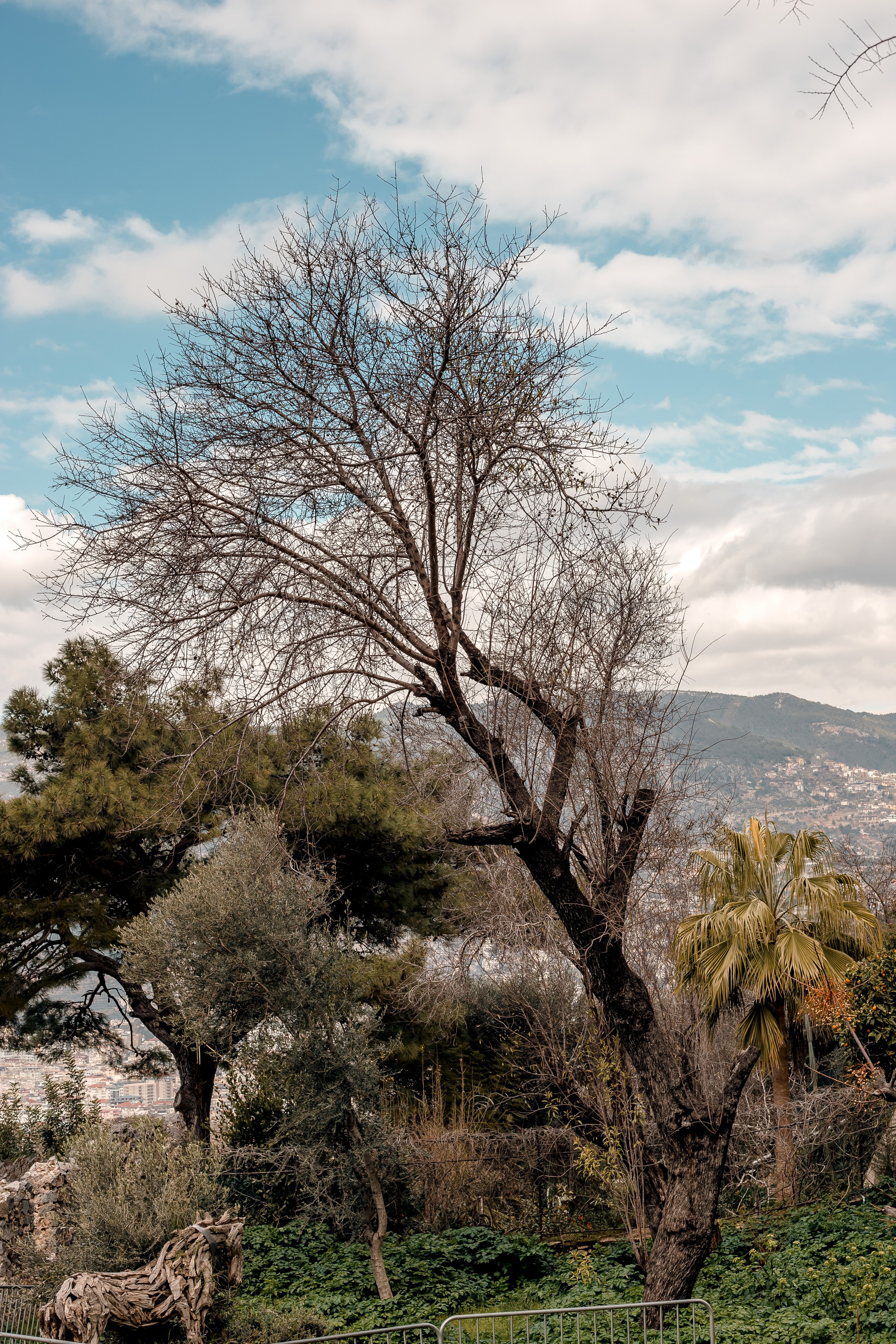 Turkey, Alanya. Art Photographer