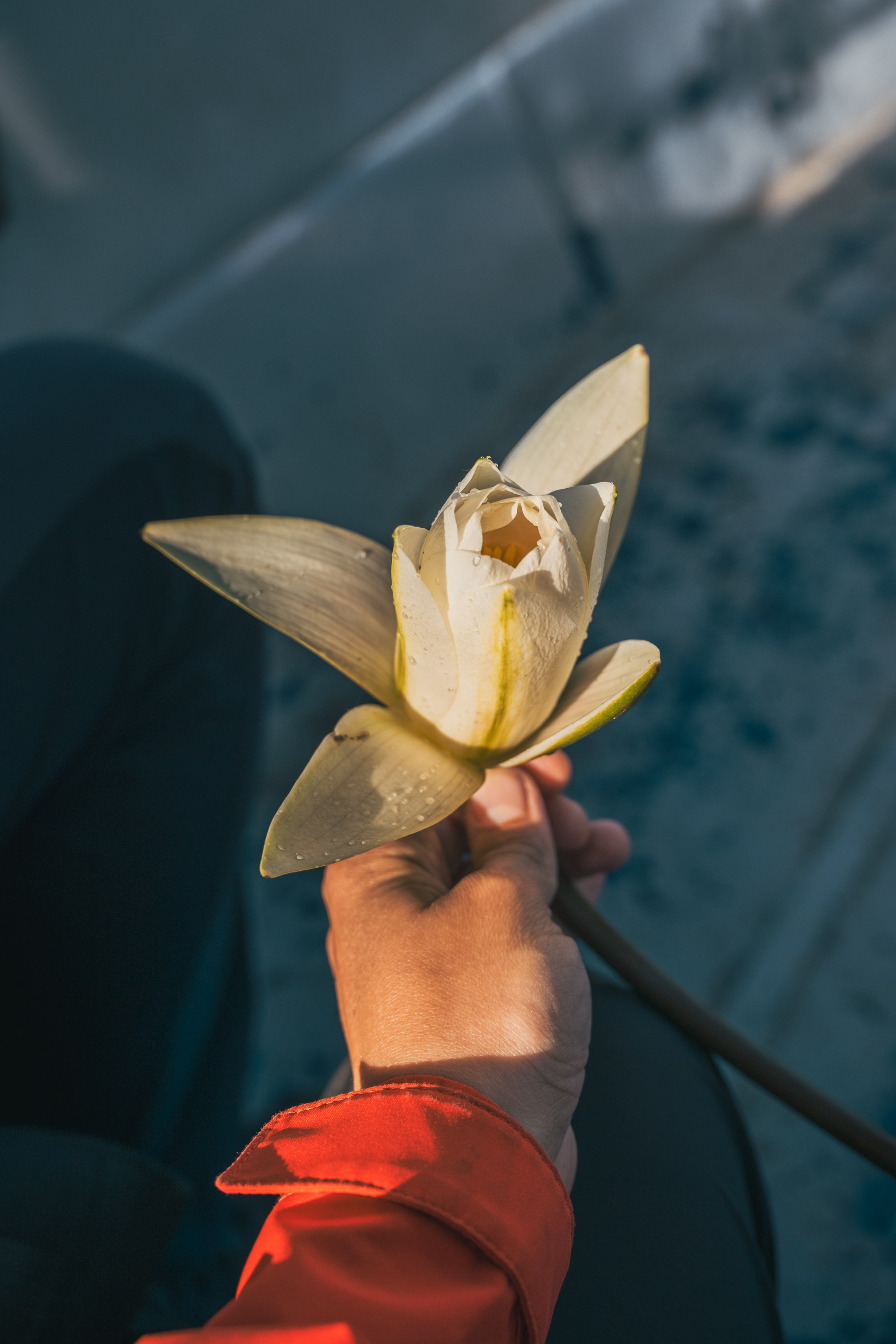 СКАДАРСКОЕ ОЗЕРО. ЧЕРНОГОРИЯ. Фотограф в Белграде Чугреева Елена