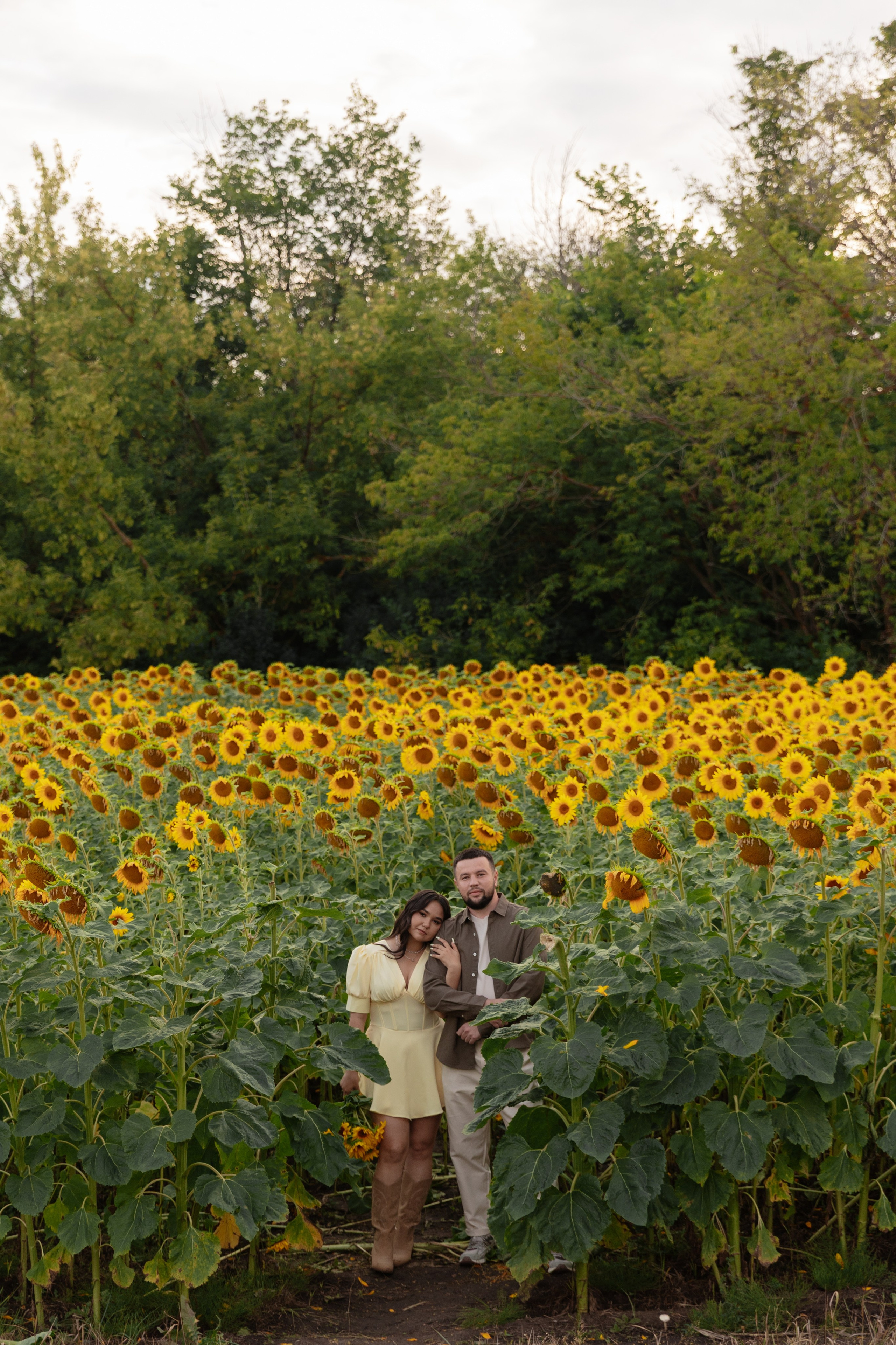 Предсвадебная Подсолнухи. Свадебный и репортажный фотограф г. Чебоксары Евгений Леонидович